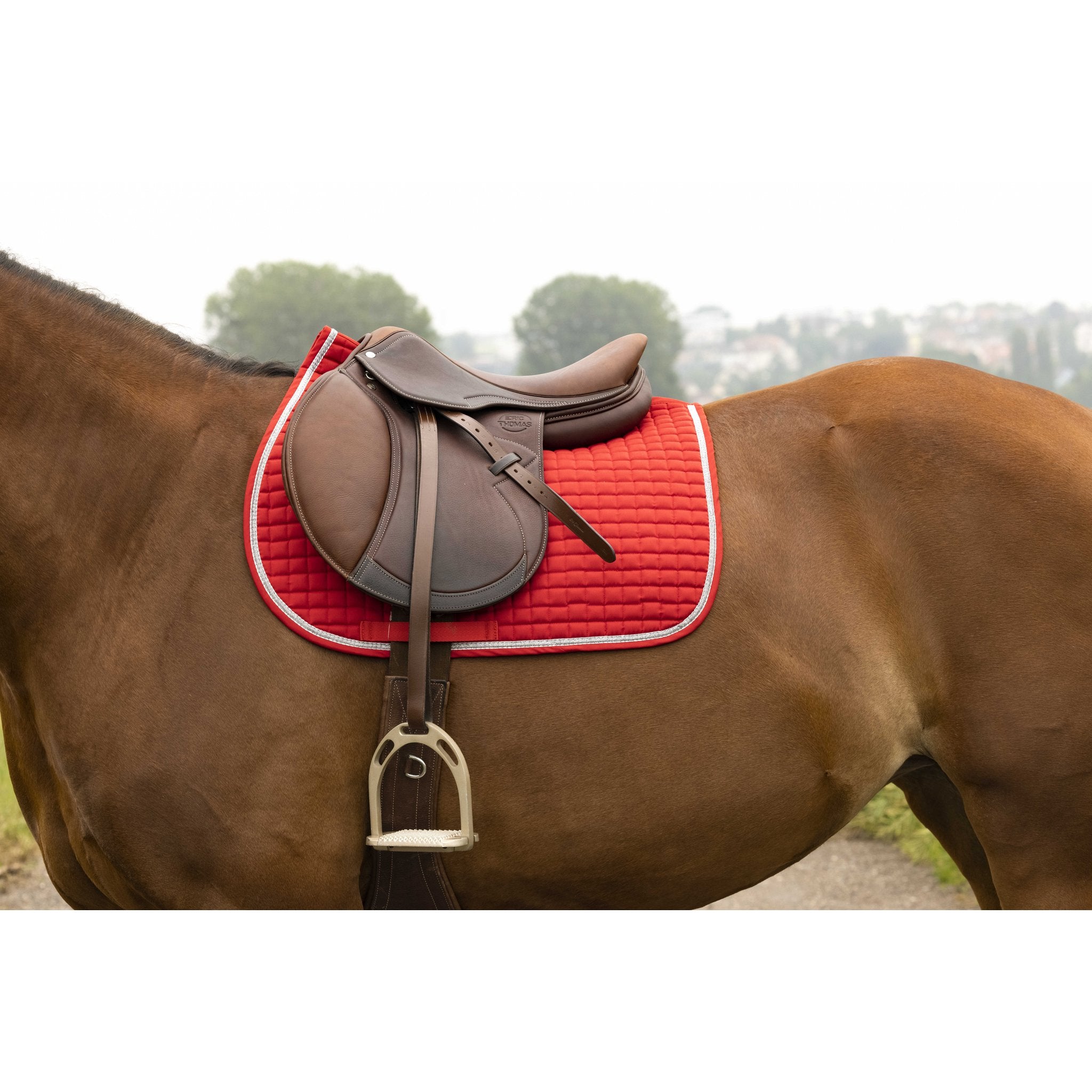 RIDING WORLD Girly Hoppschabrak