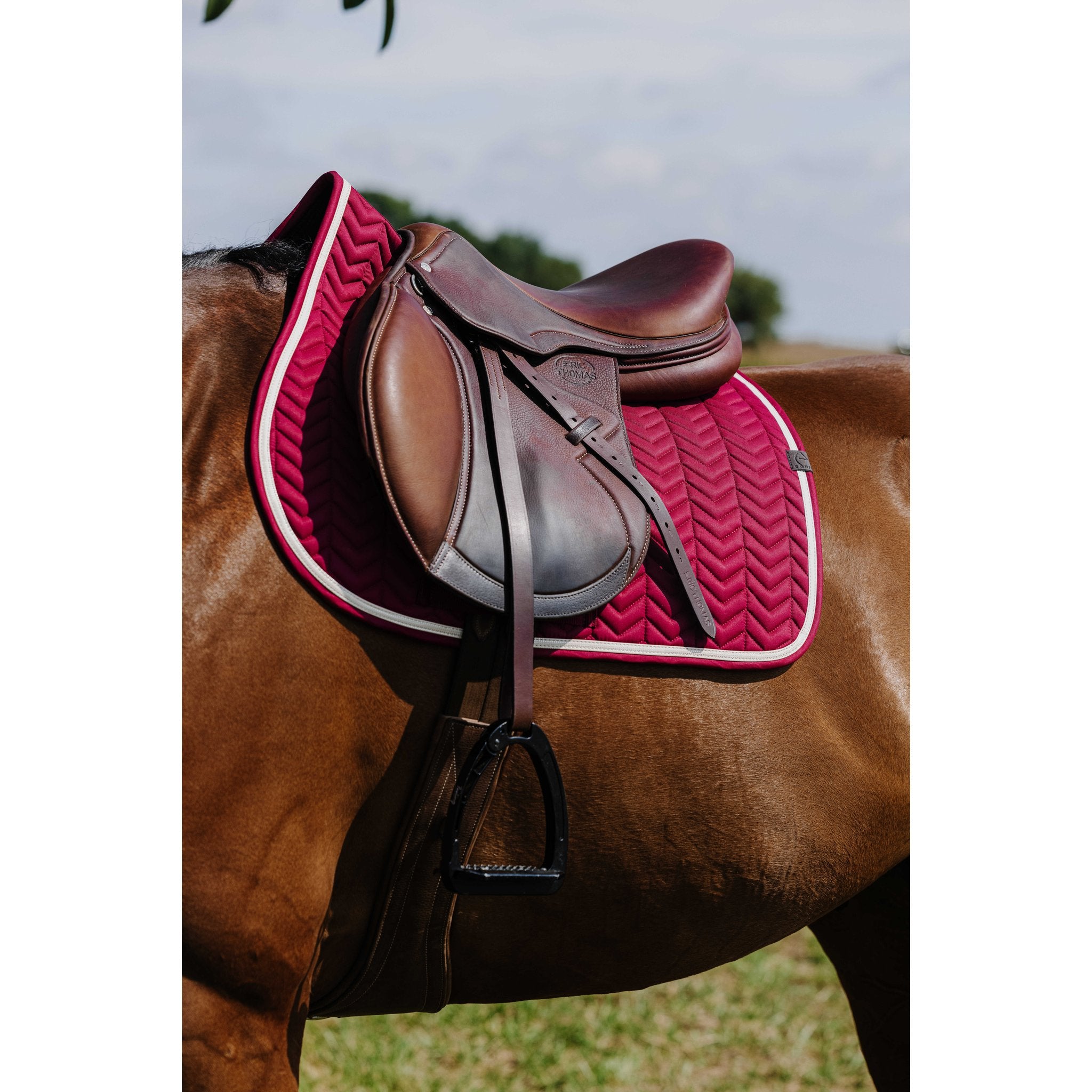 Equitheme Softypop Schabrak