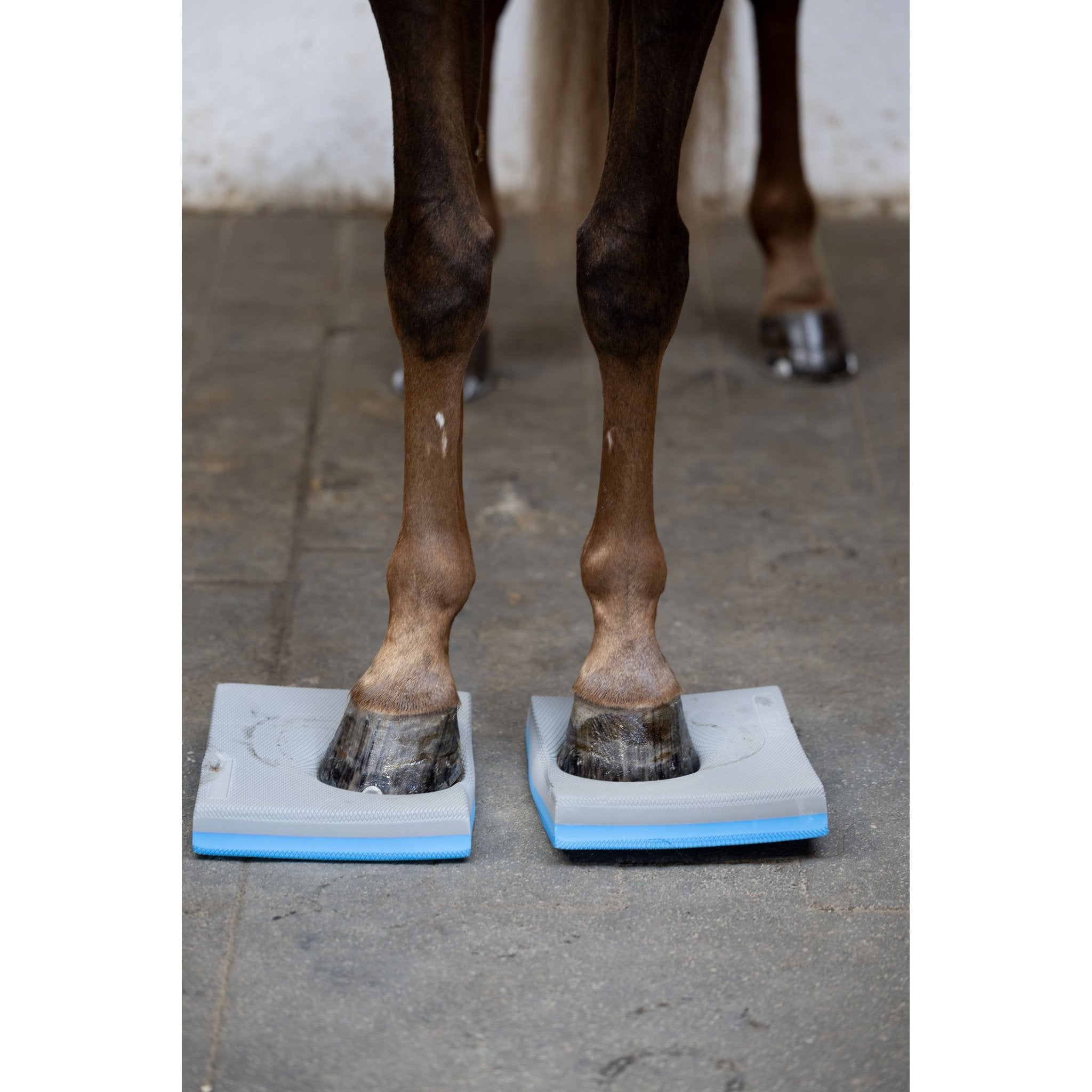 Horse Guard Balance pads, 2-pack