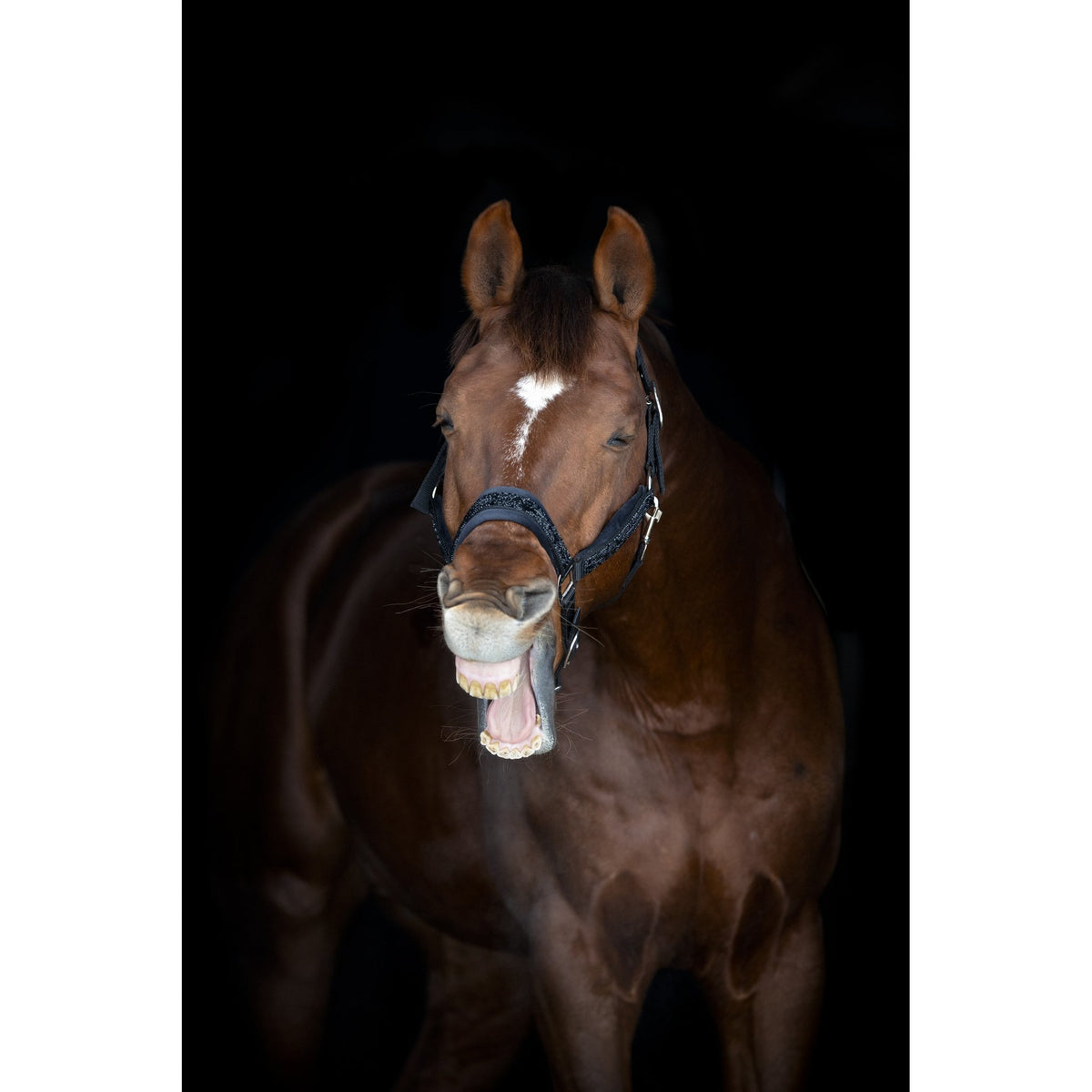 Horse Guard Angel grimma med glitter
