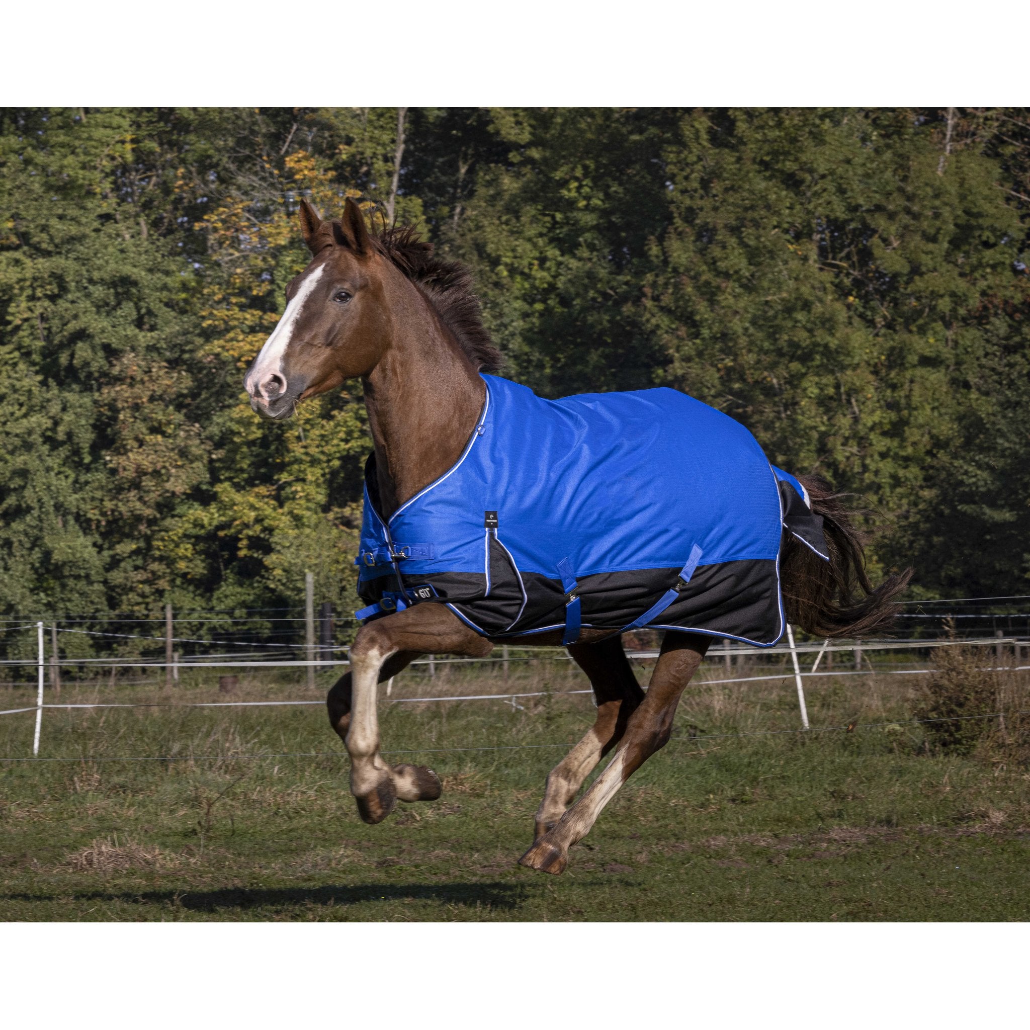 Equithème TYREX Aisance 1200D Turnout täcke 0 g