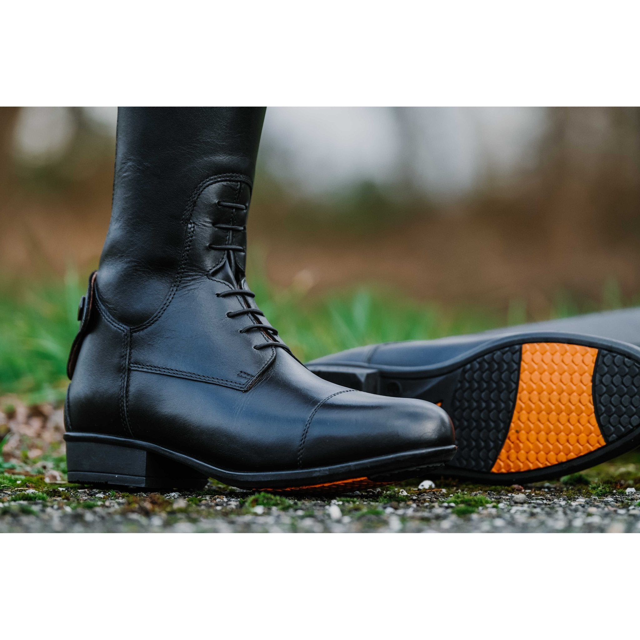 Equithème New Primera Ridstövel