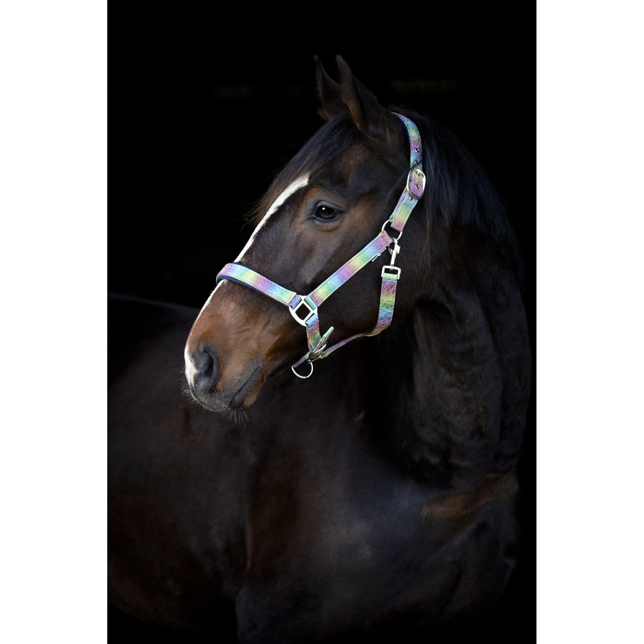 Horse Guard Rockford regnbågsgrimma med glitter