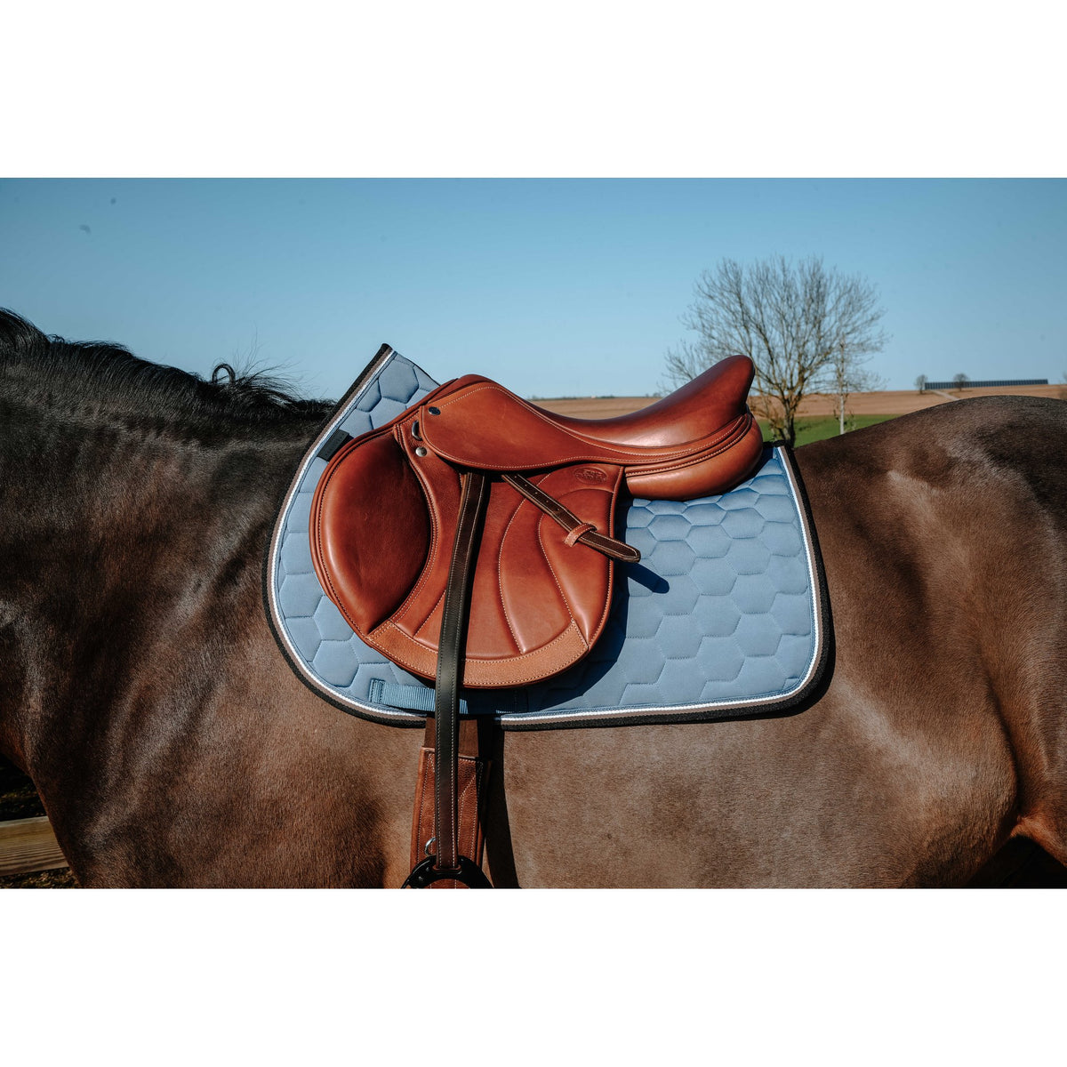 Equitheme Coco schabrak