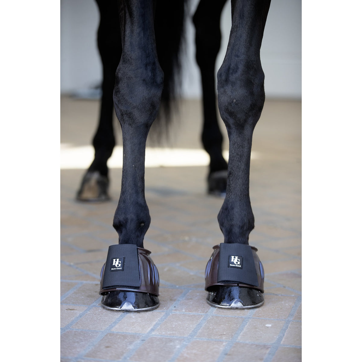 HorseGuard Tamsin Boots