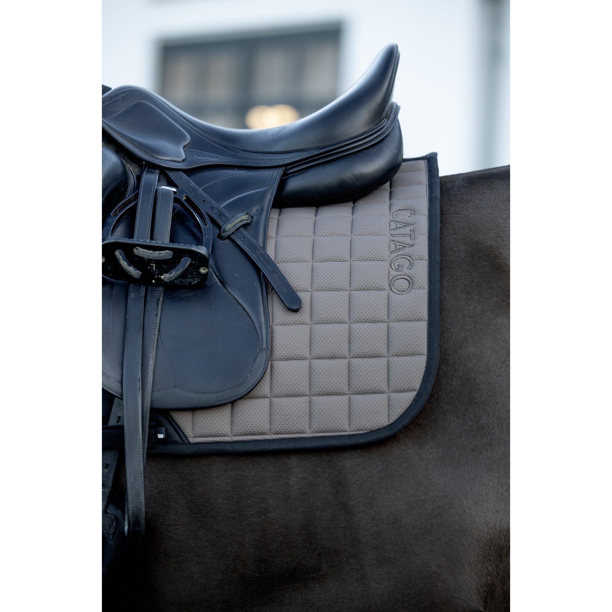 CATAGO FIR-Tech schabrak dressyr