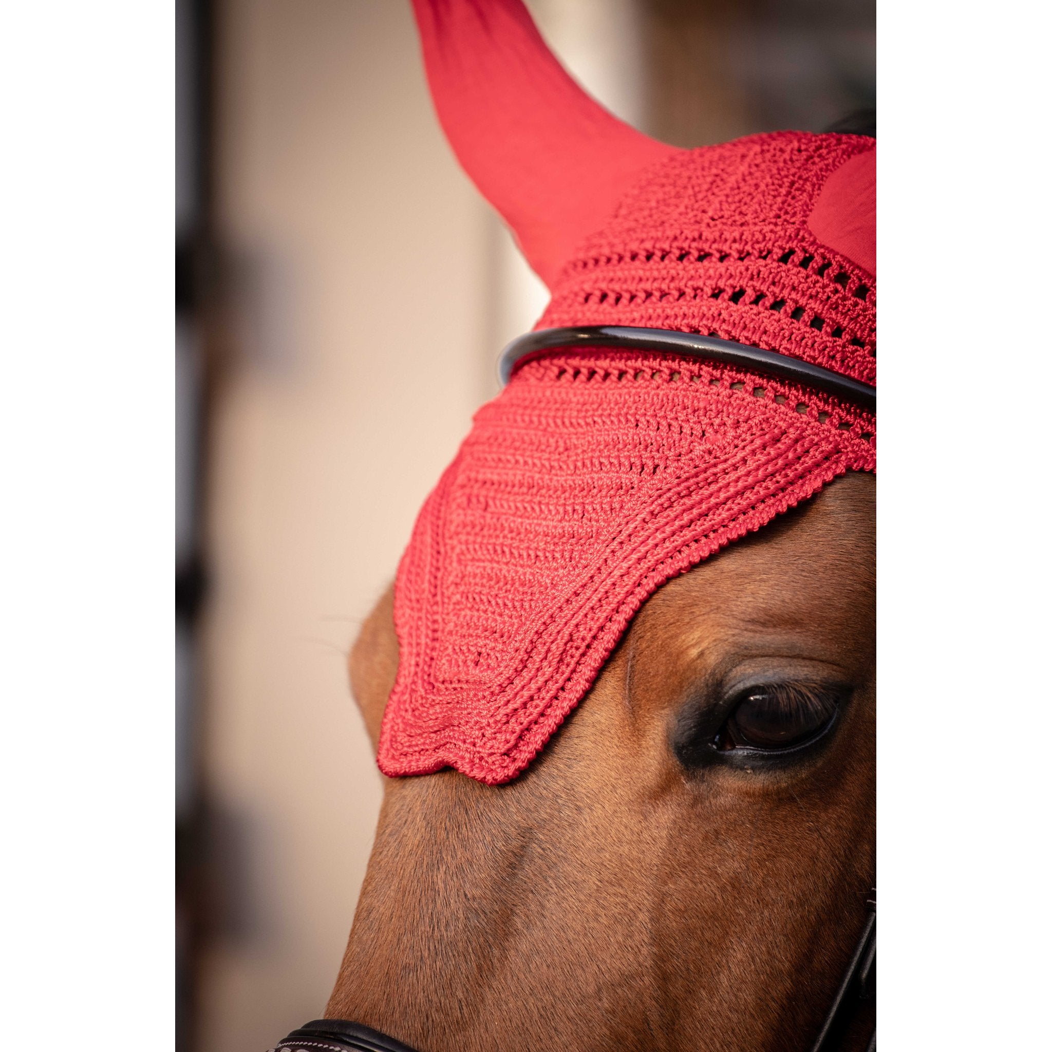 PADDOCK Prems luva