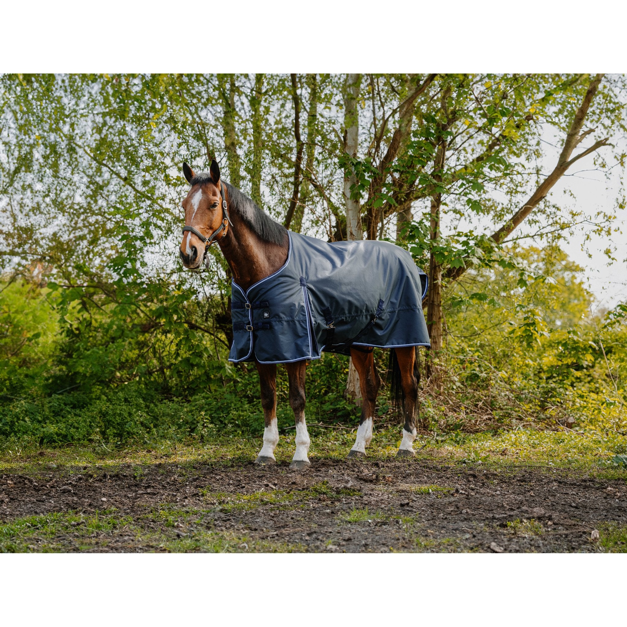 RIDING WORLD - Eco 1200D - Turnout täcke 220 g