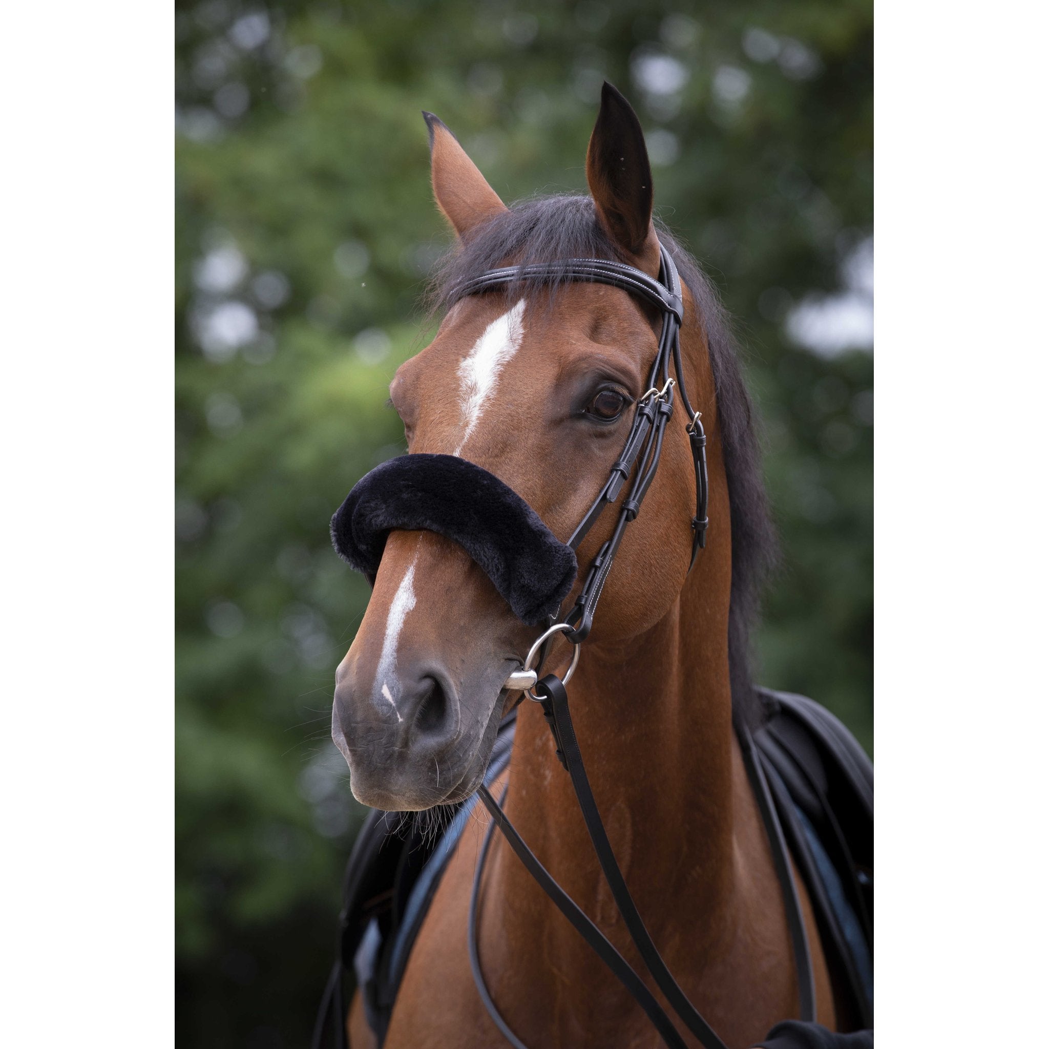 Equithème Teddy nosludd