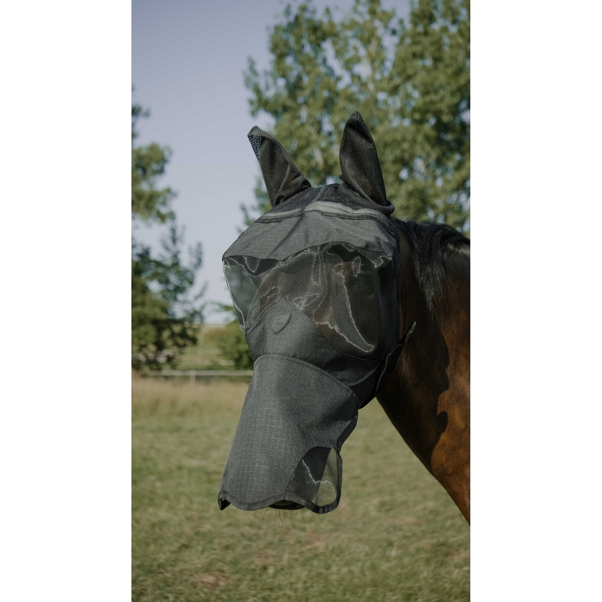 Pro Series Visor flugmask