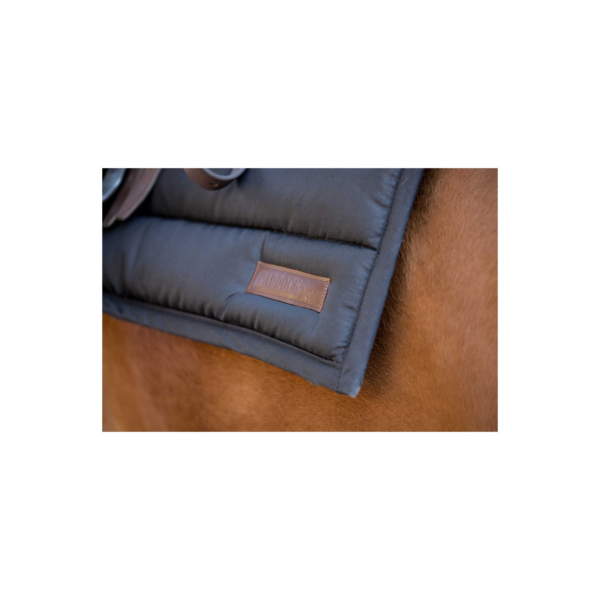PADDOCK Big pad schabrak
