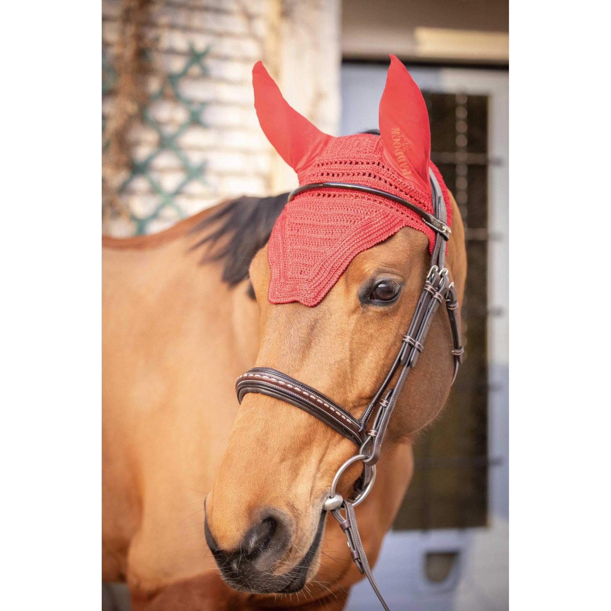 PADDOCK Prems luva