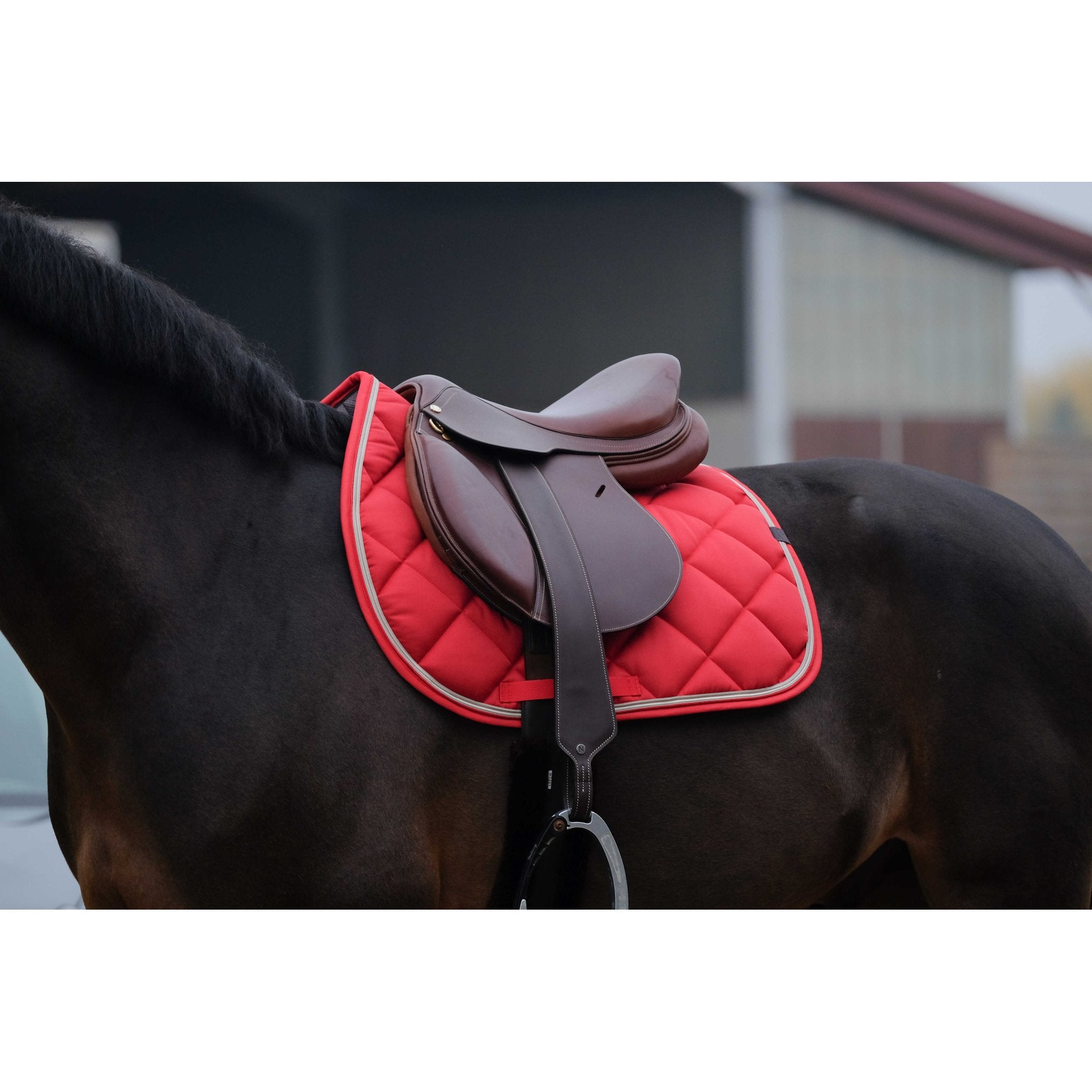 Equithème Classic Schabrak