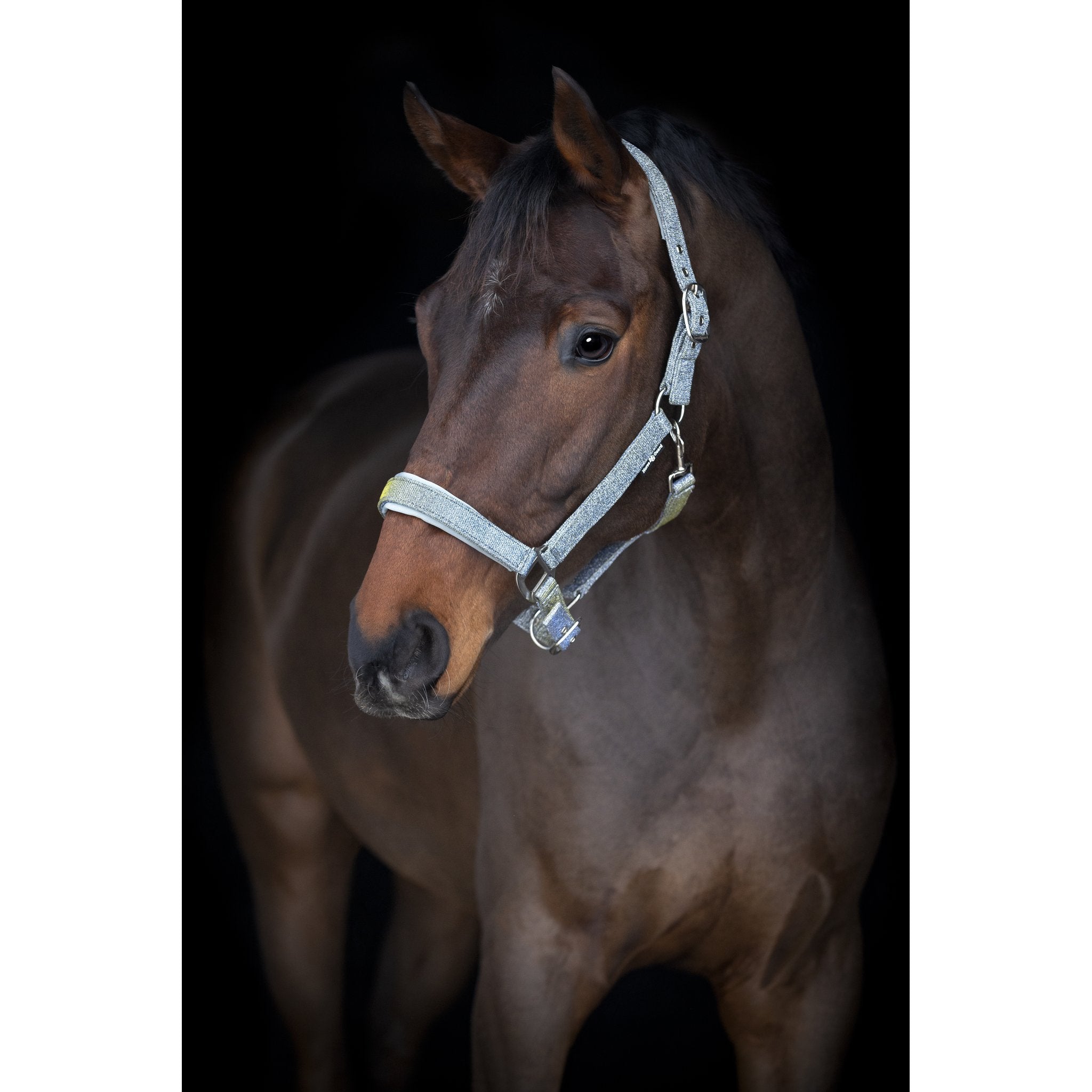 Horse Guard Iowa färgskiftande glittergrimma
