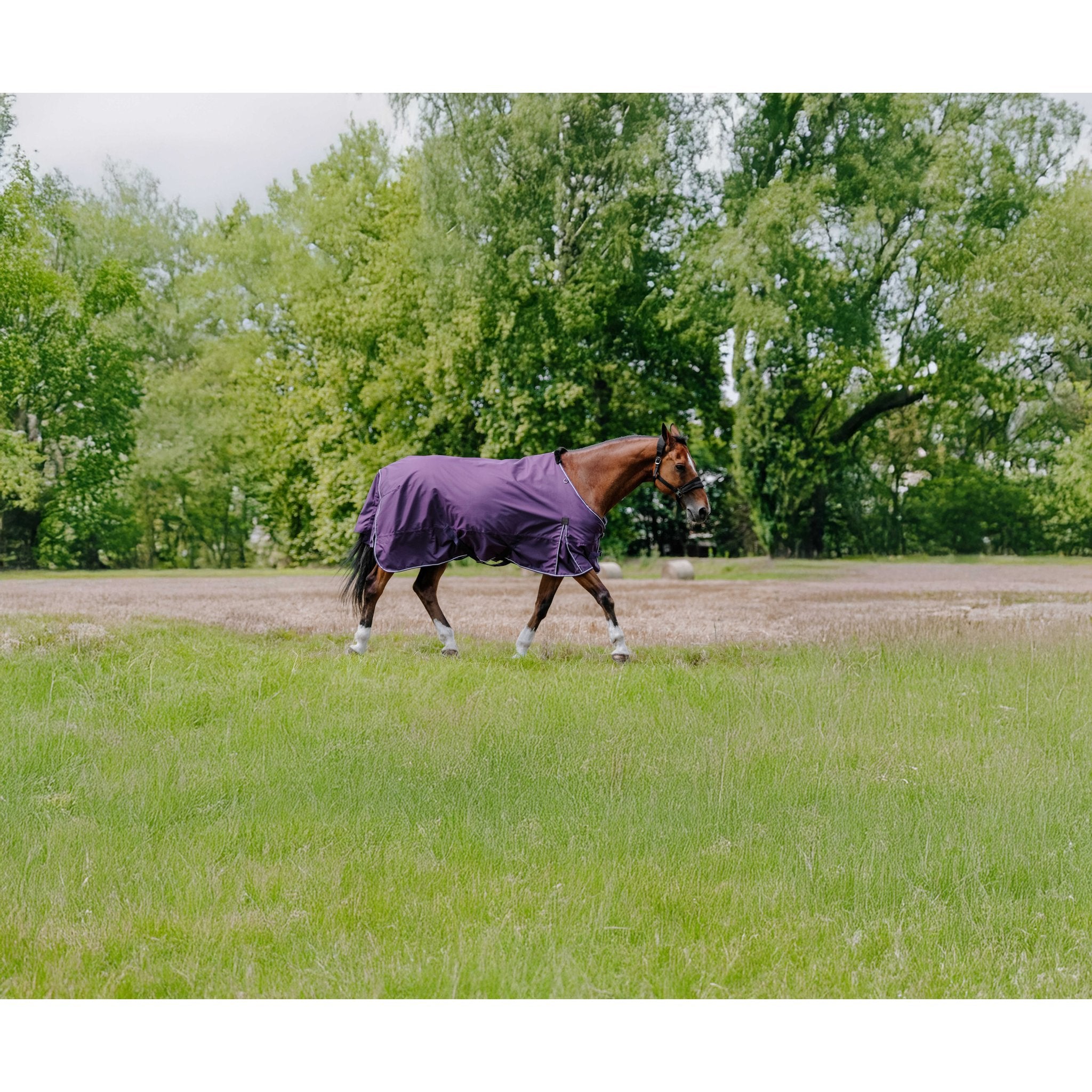 Equithème TYREX Aisance 600D Turnout täcke 150 g