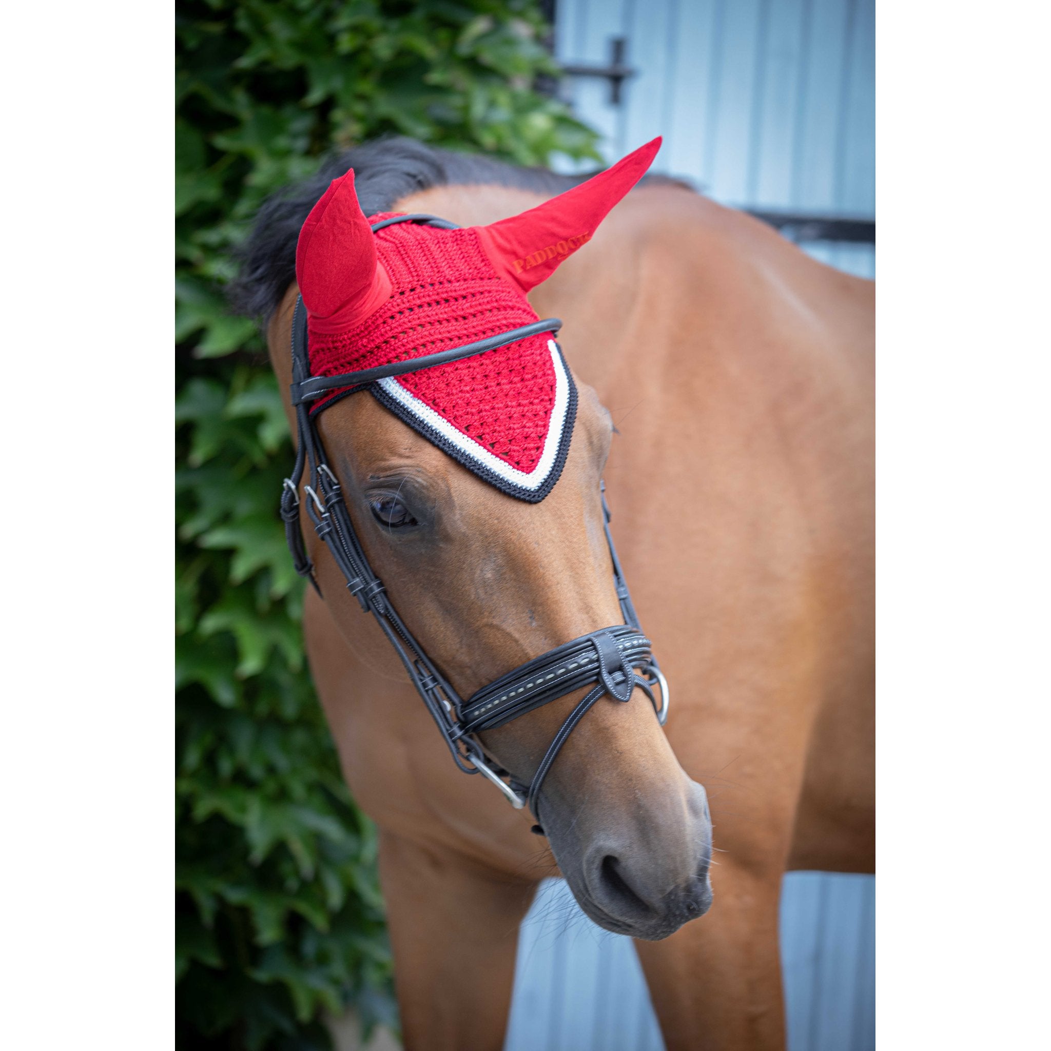 PADDOCK Origine luva
