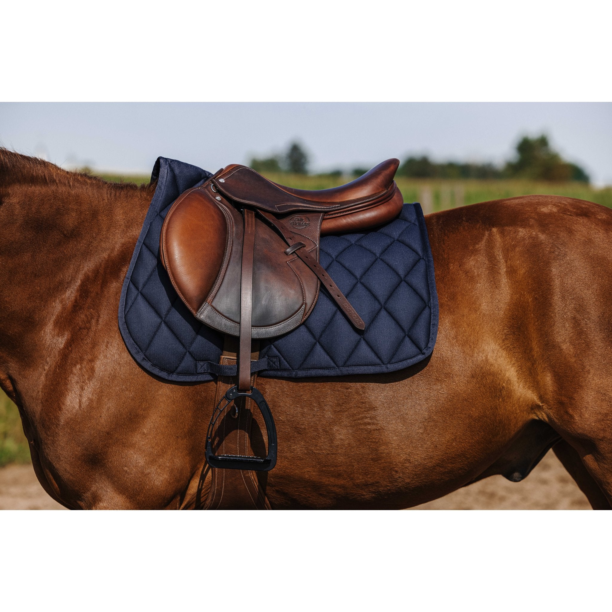 RIDING WORLD School Hoppschabrak