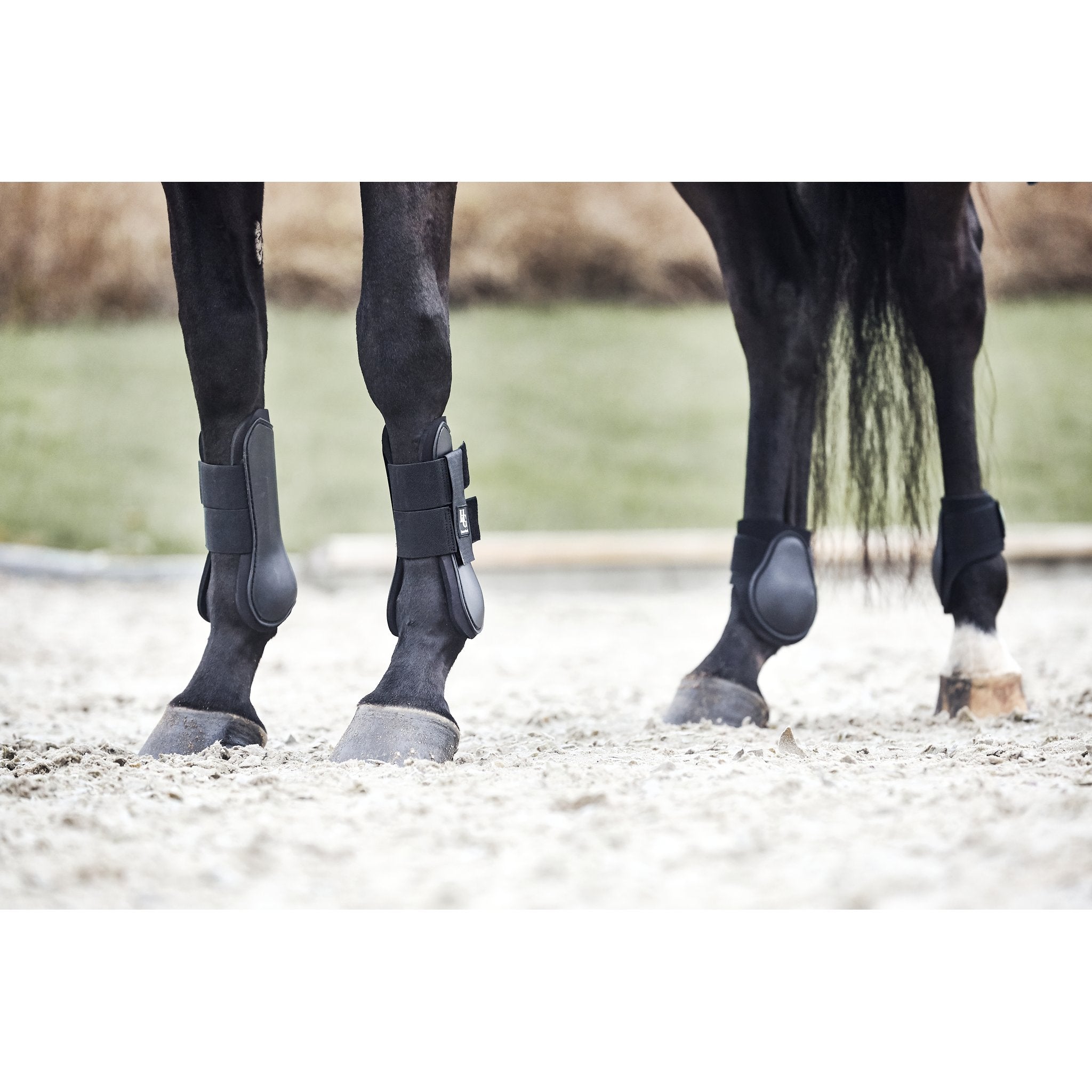 HorseGuard Strykkappor bak