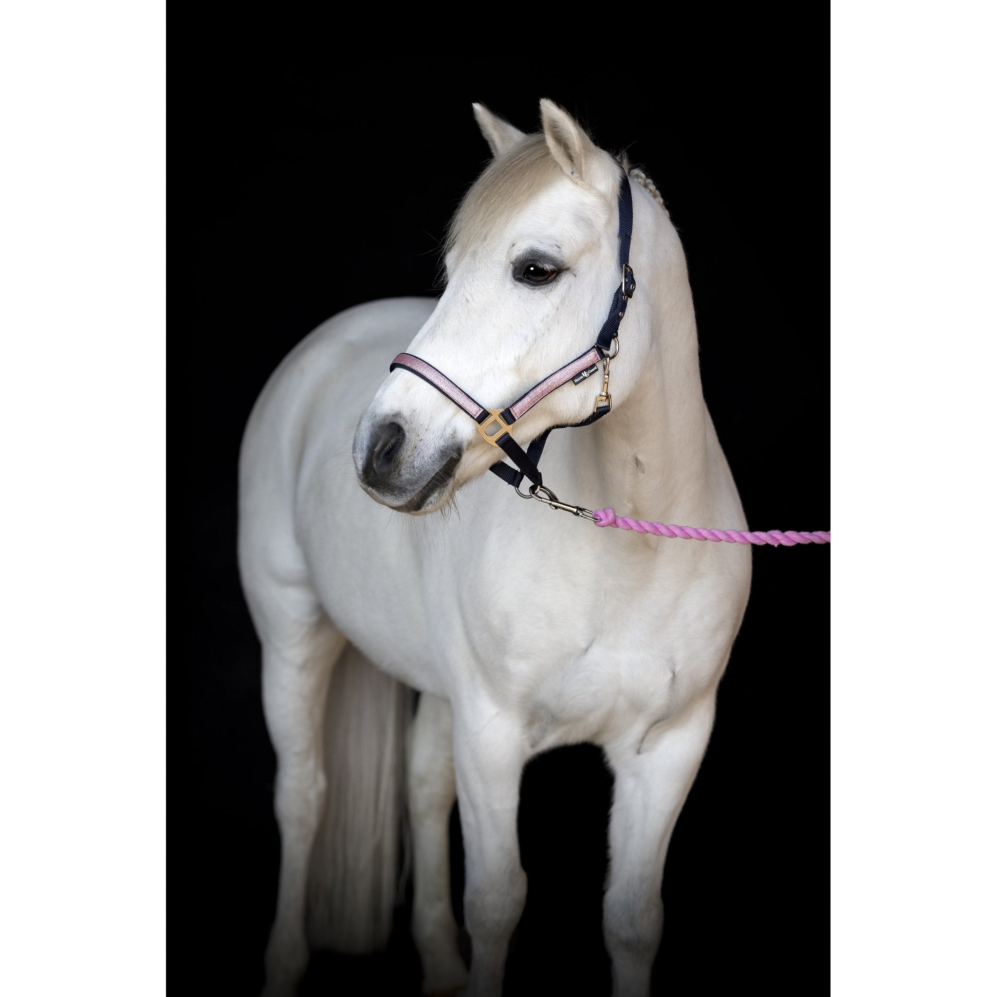 Horse Guard Idaho grimma