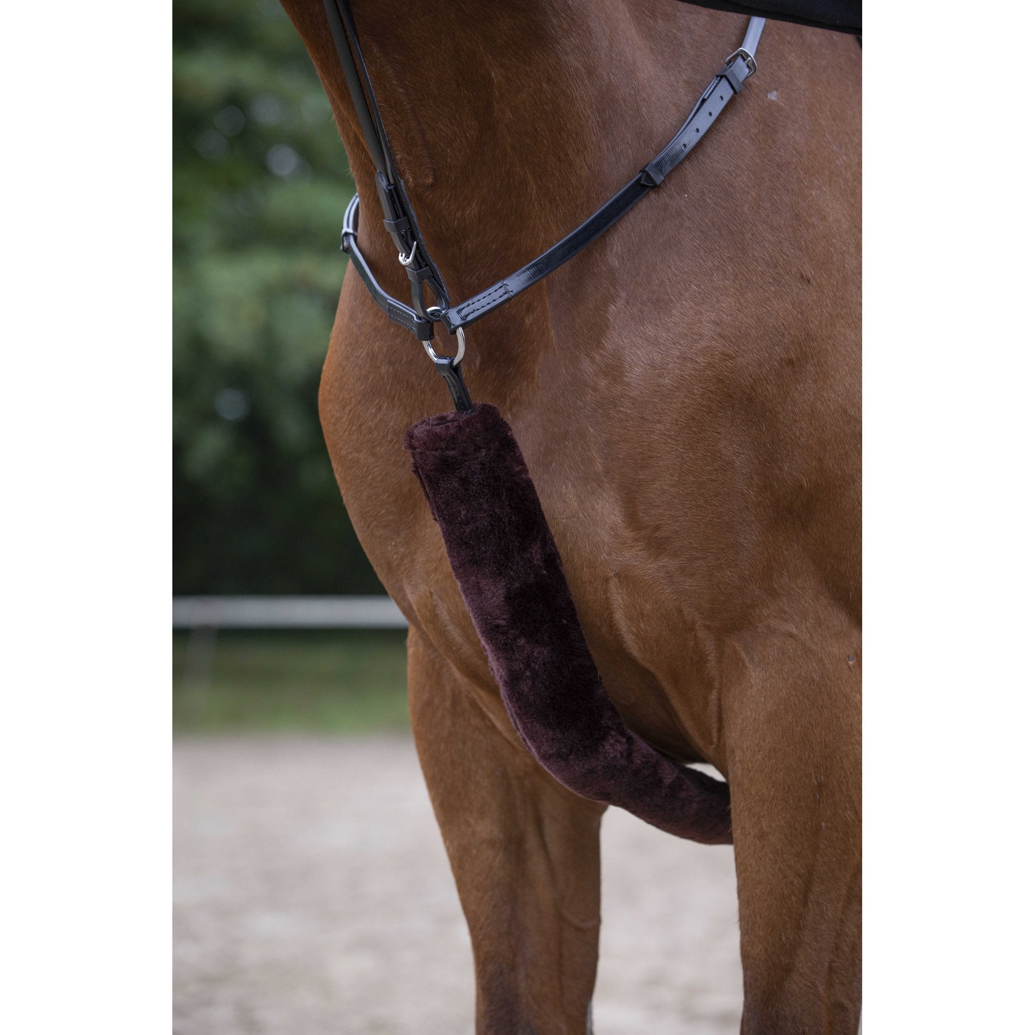 Equithème Teddy skydd till förbygel
