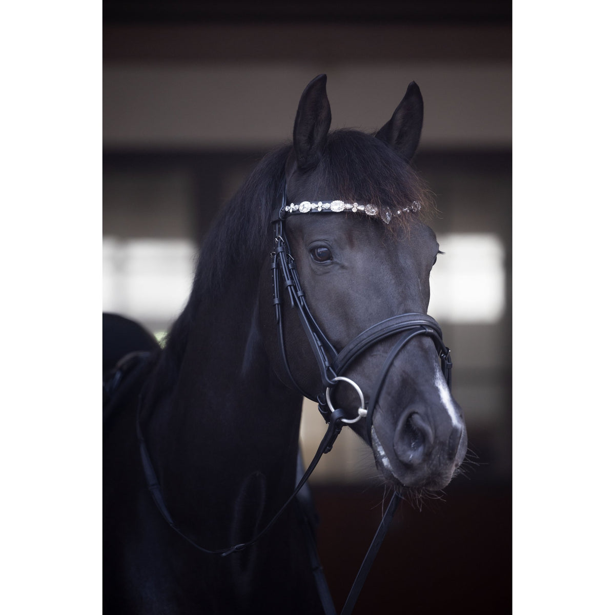 Horse Guard Emi 26.2 träns med kombinerad nosgrimma