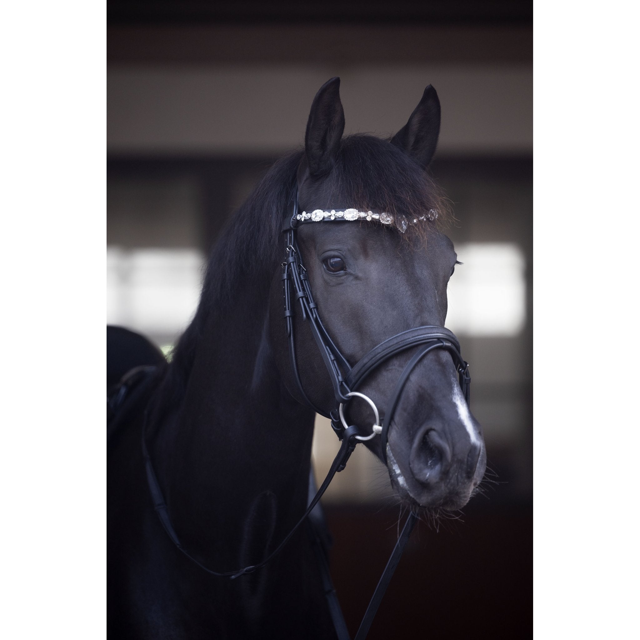 Horse Guard Sunnywale pannband