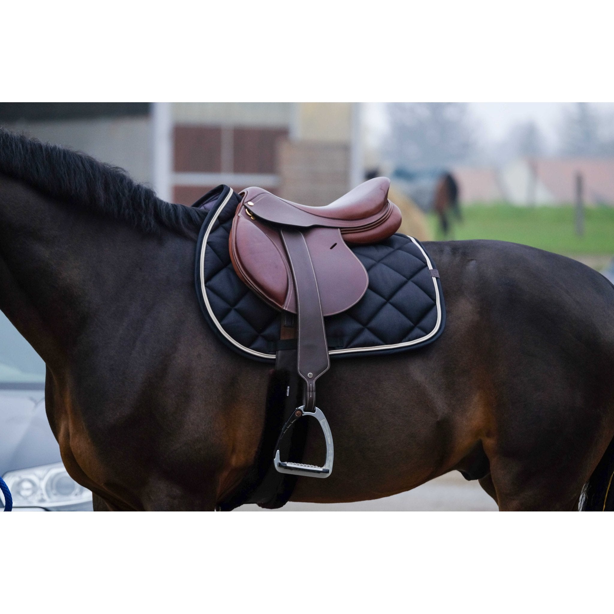 Equithème Classic Schabrak