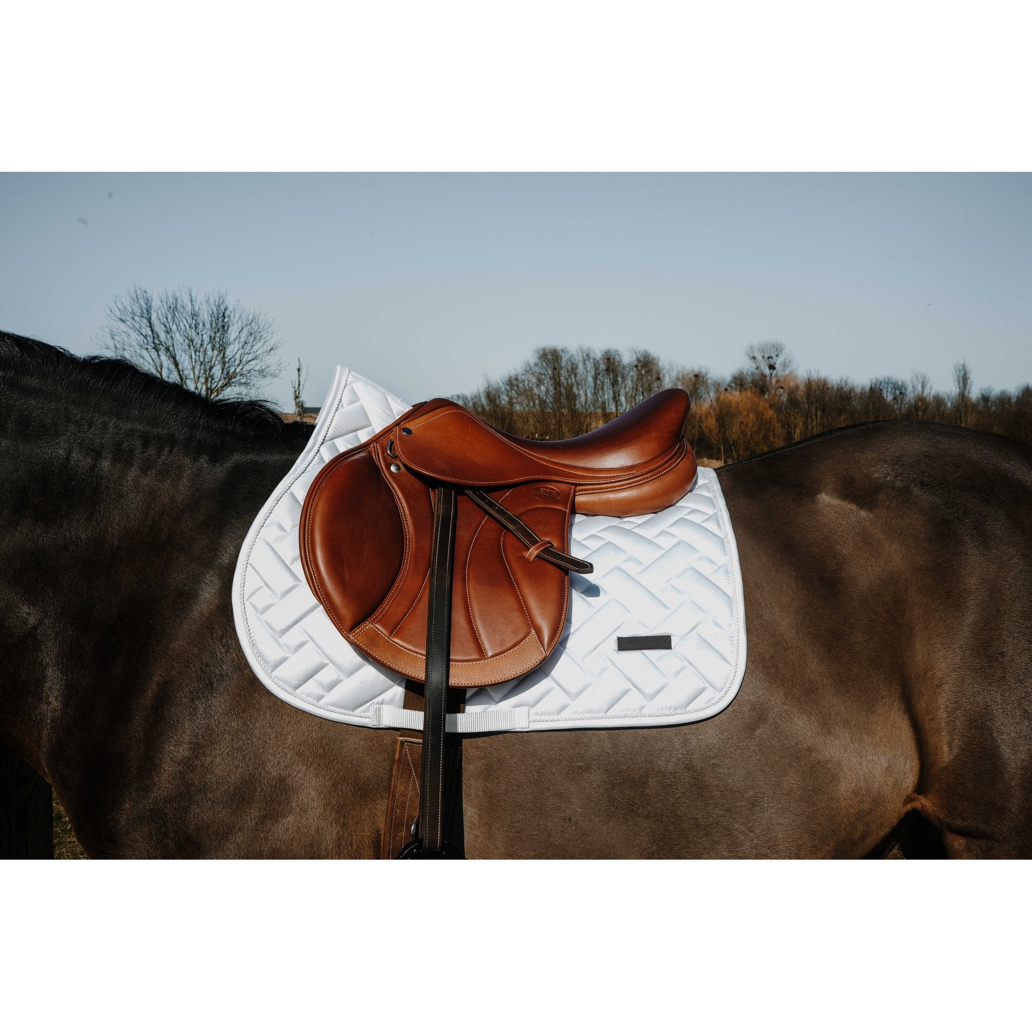 Equitheme Starlet schabrak