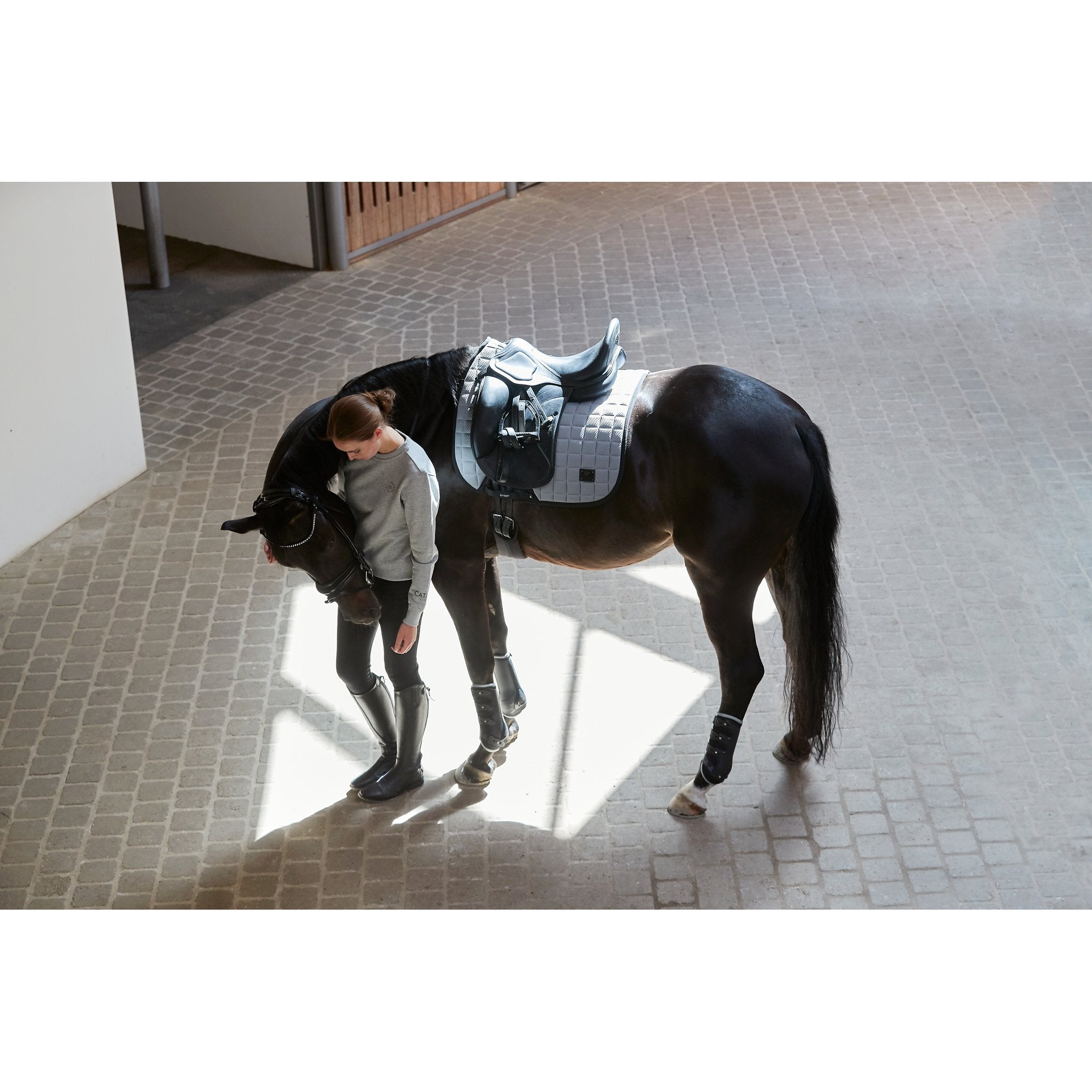 CATAGO FIR-Tech dressyr benskydd