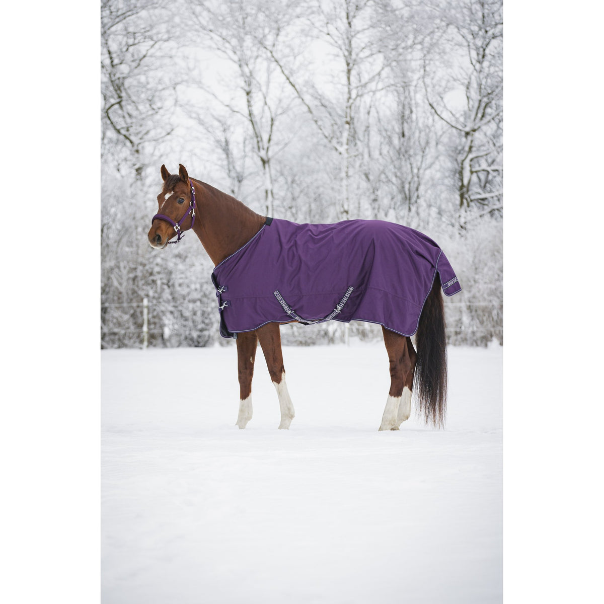Horse Guard Landon 1200D turnout täcke 200g
