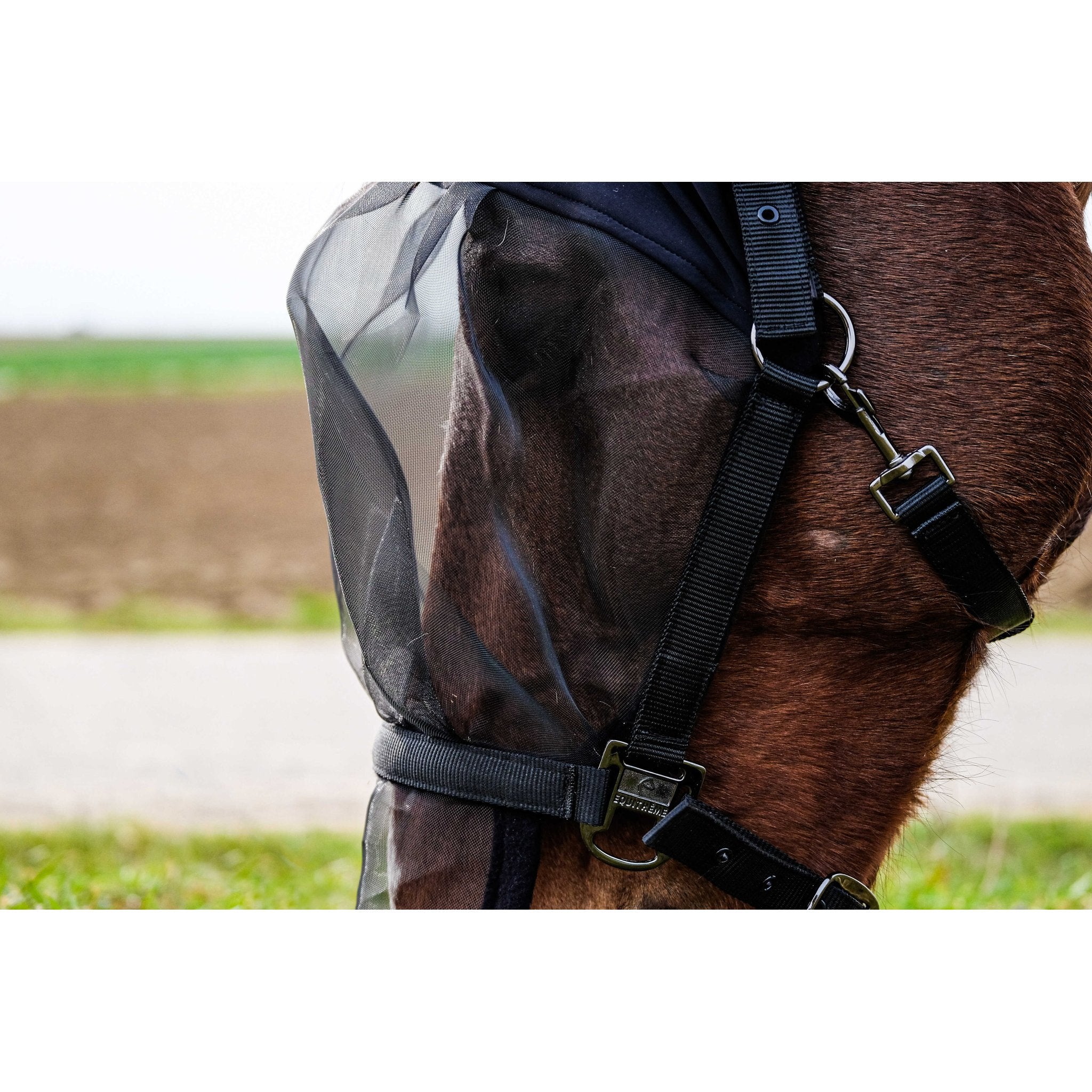 Equithème Grimma + Anti UV-mask