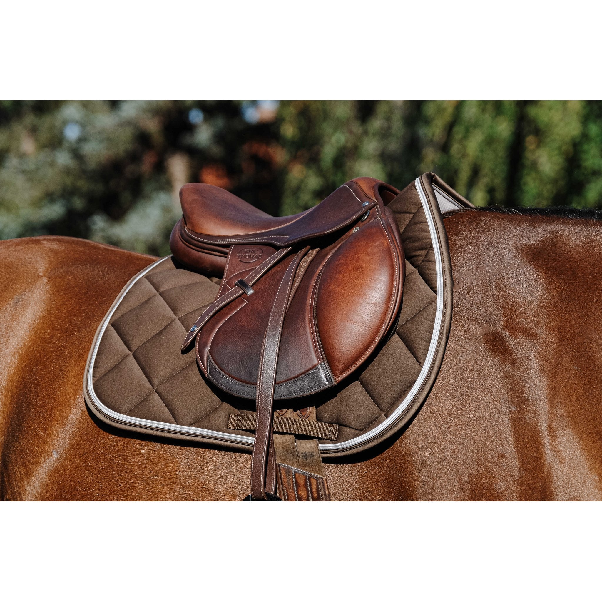 Equithème Classic Schabrak