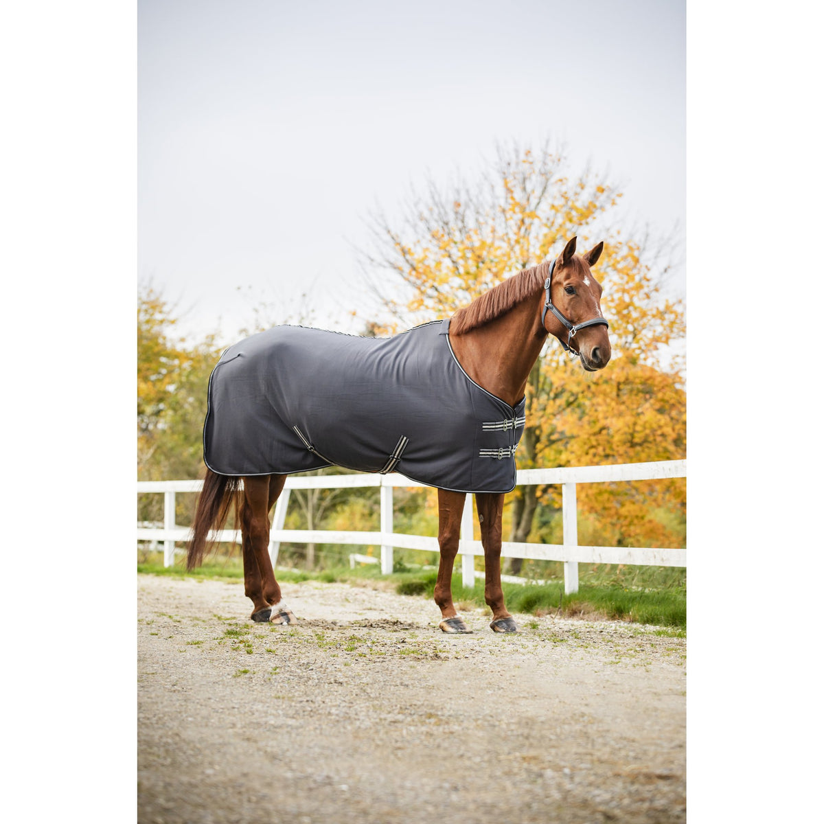 HorseGuard Jersey Cooler täcke