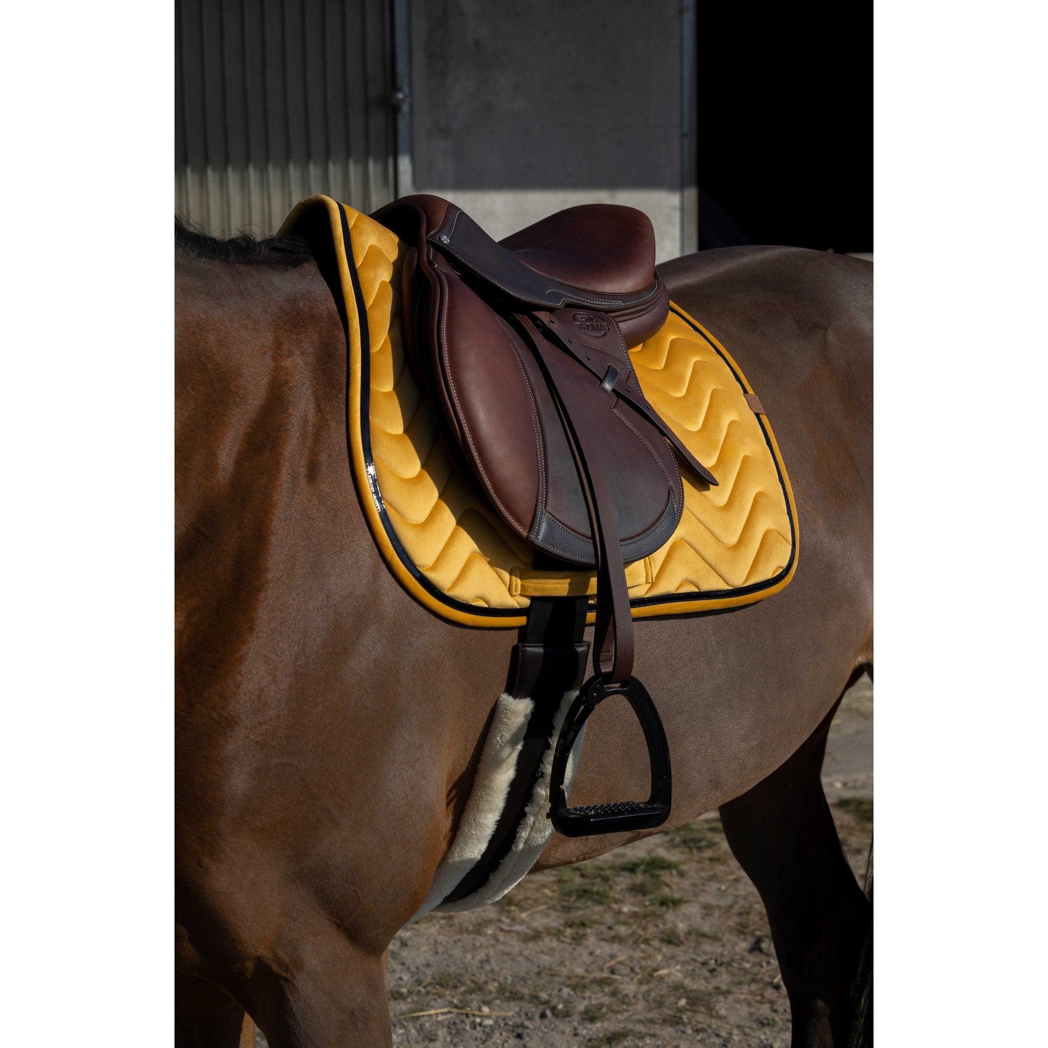 Equithème Glossy Schabrak