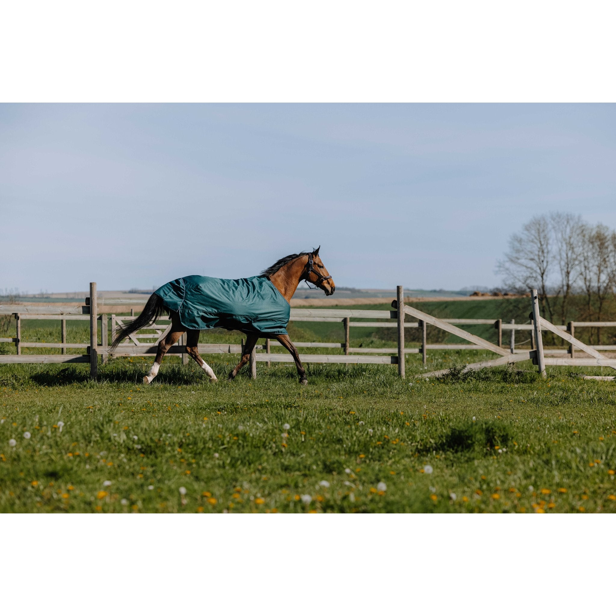 Equithème TYREX 600D Turnout täcke 300 g