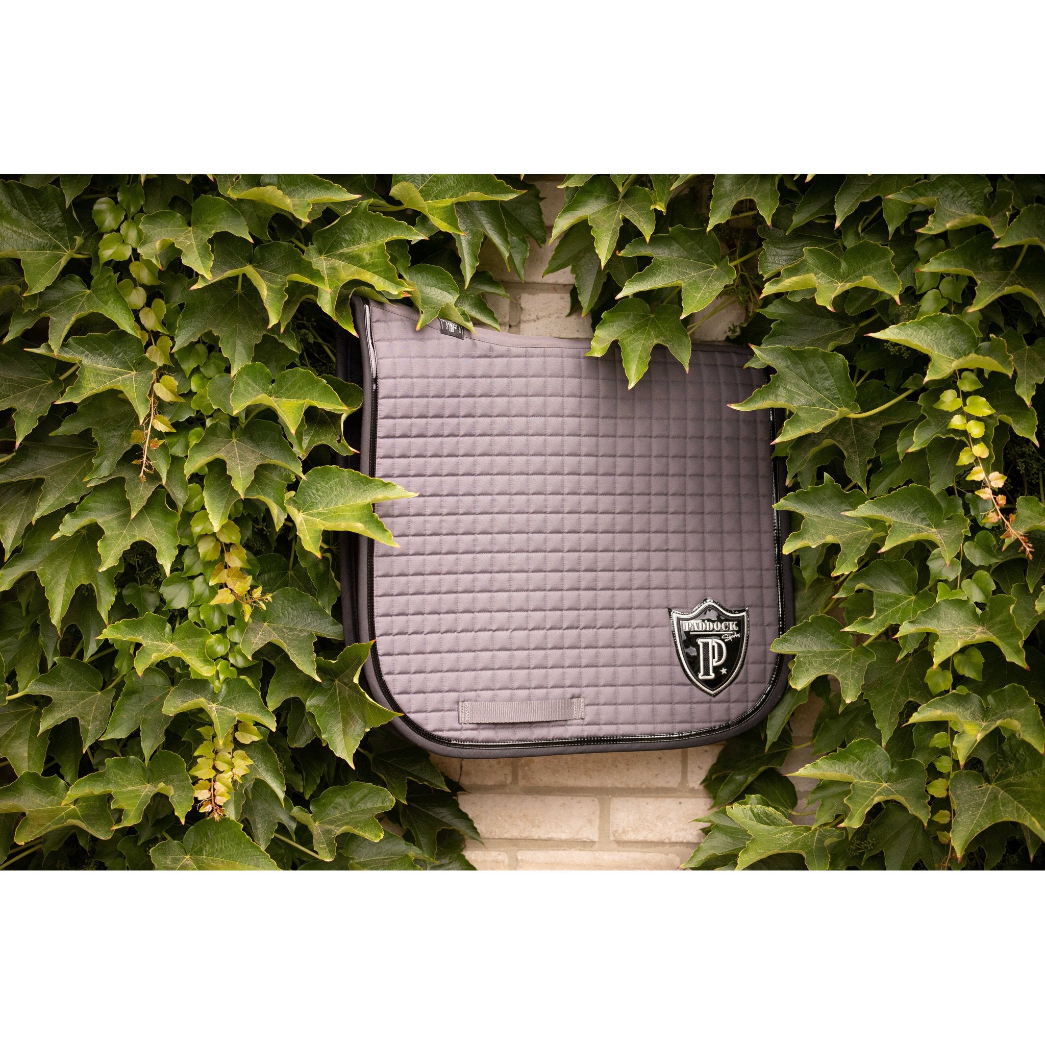 PADDOCK American dressage schabrak