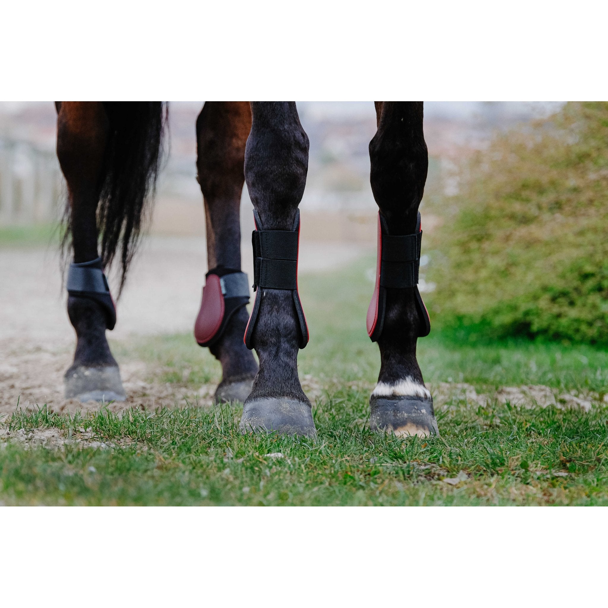 Riding World Senskydd