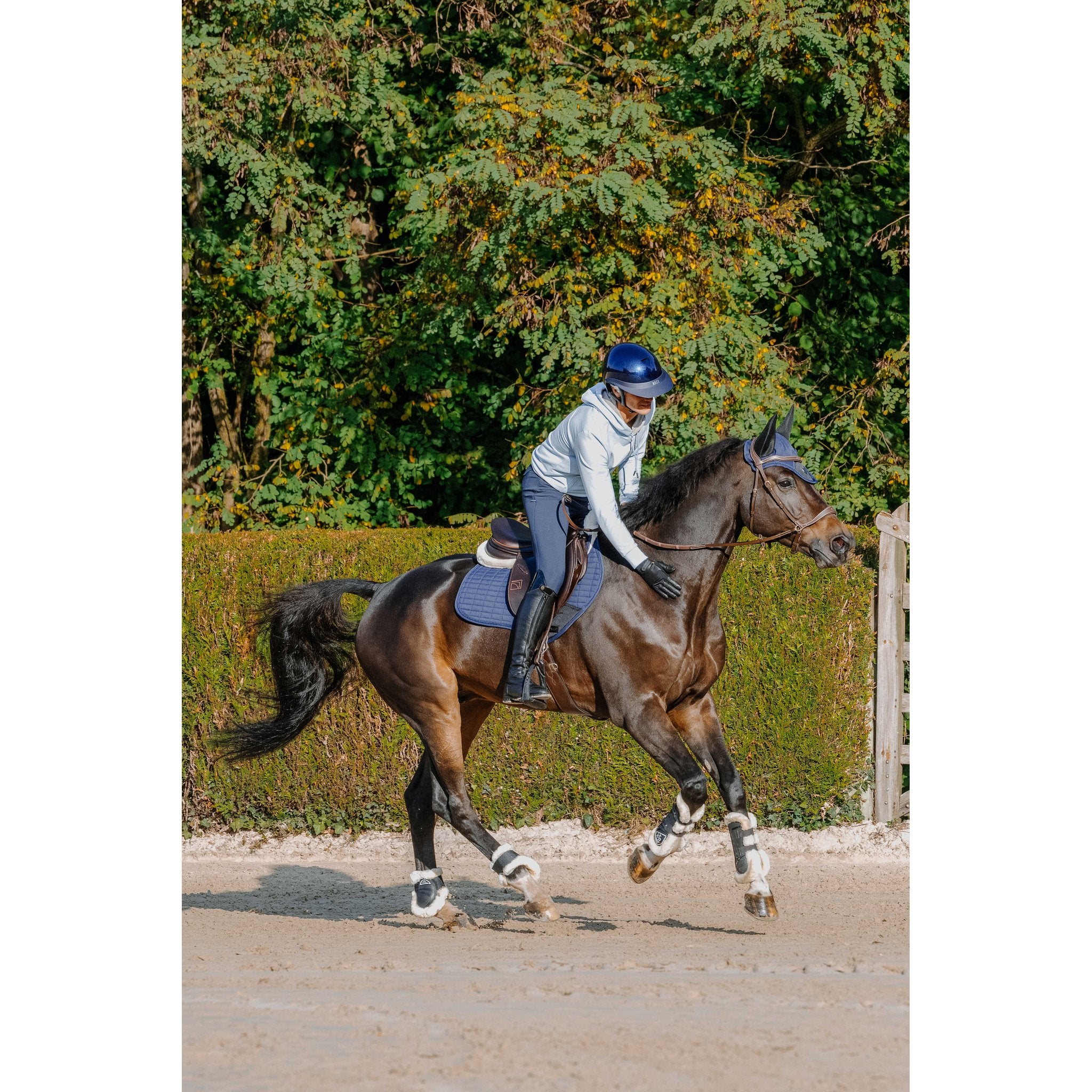 Equitheme Hoddie unisex Axel
