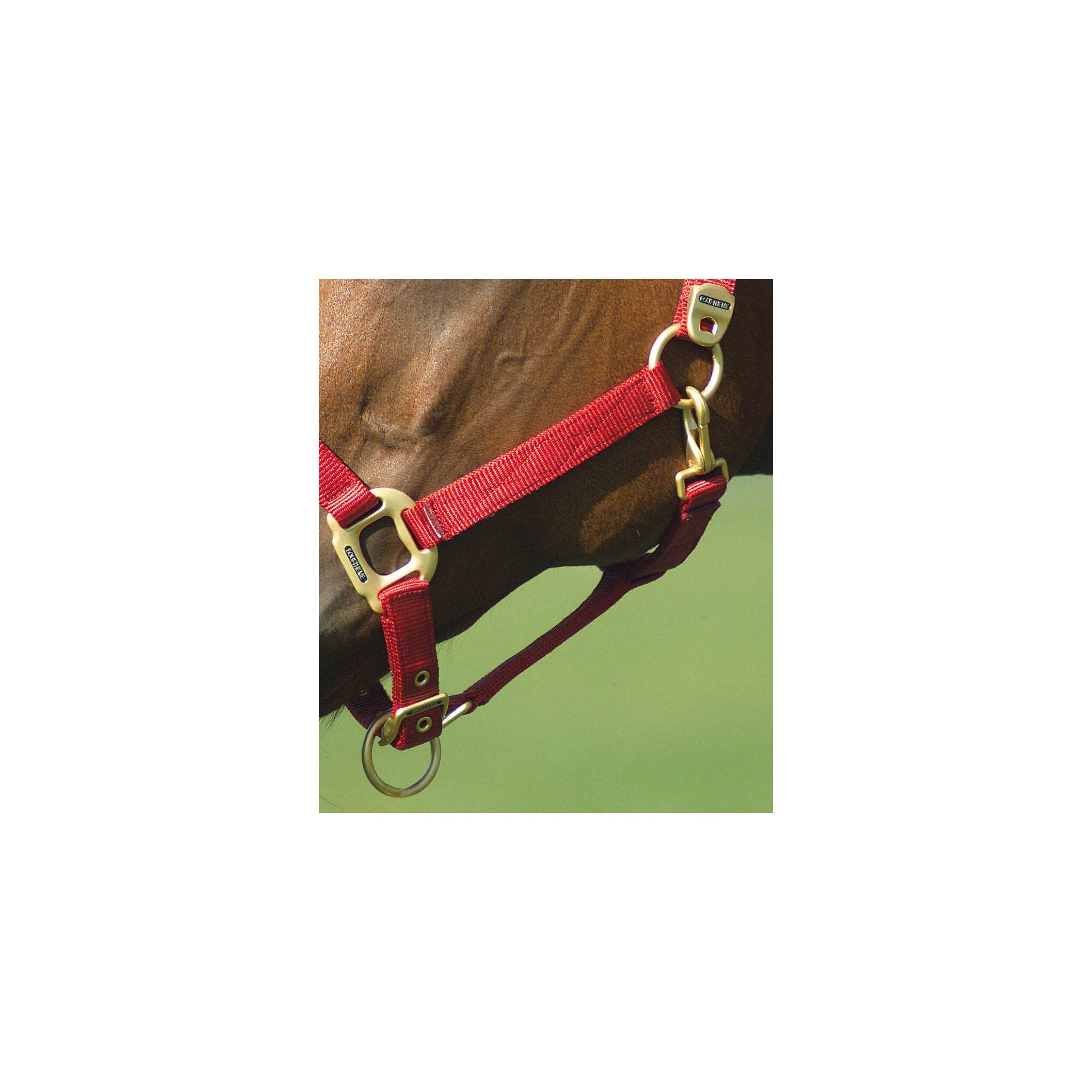 Equithème Nylon Grimma