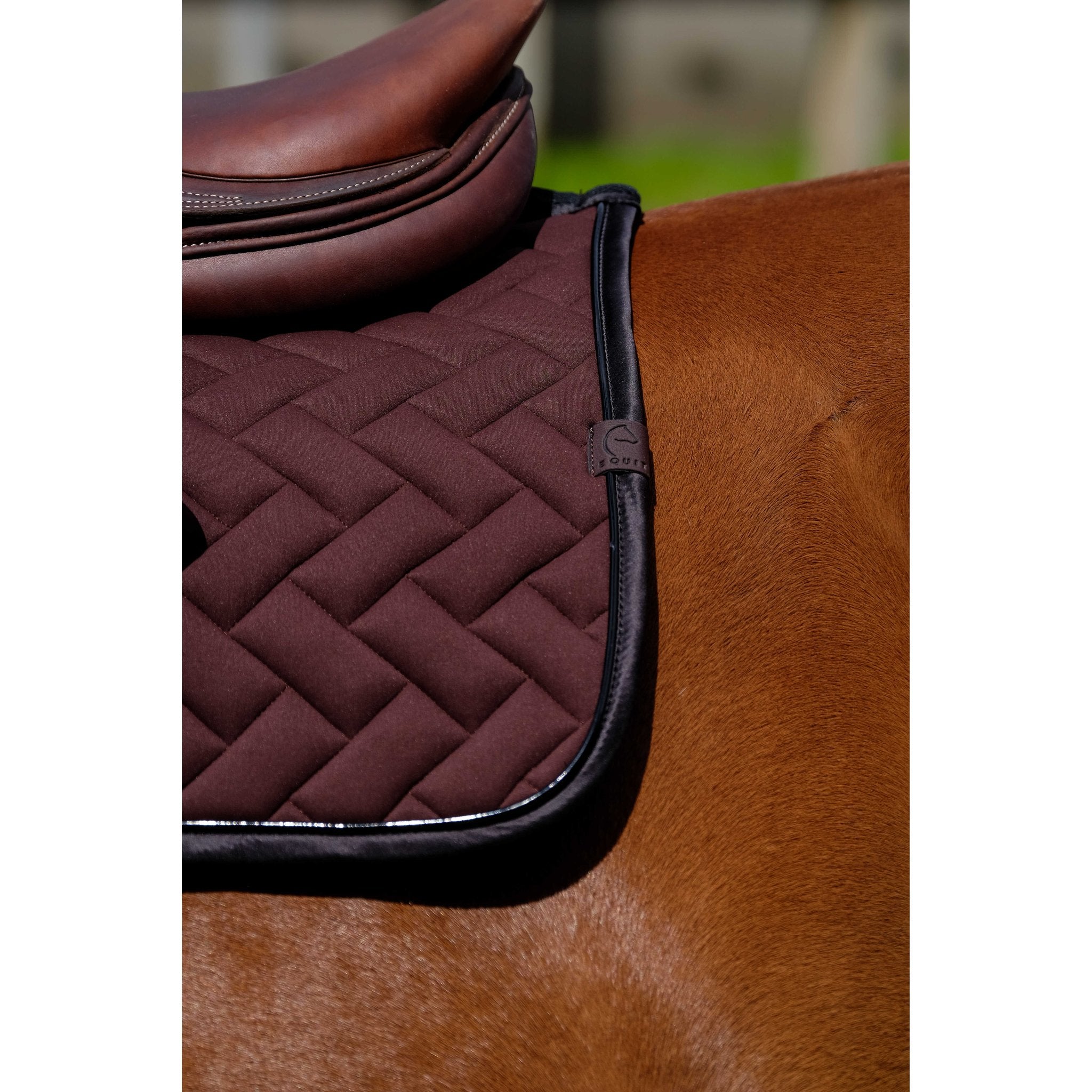 Equithème Impulsion Schabrak