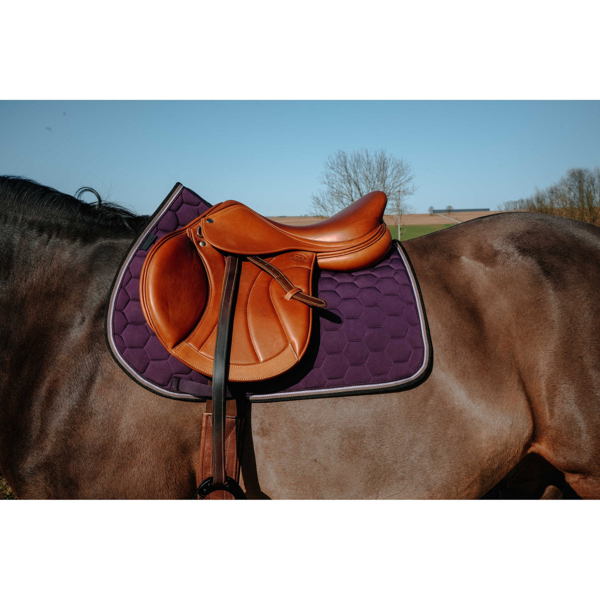 Equitheme Coco schabrak