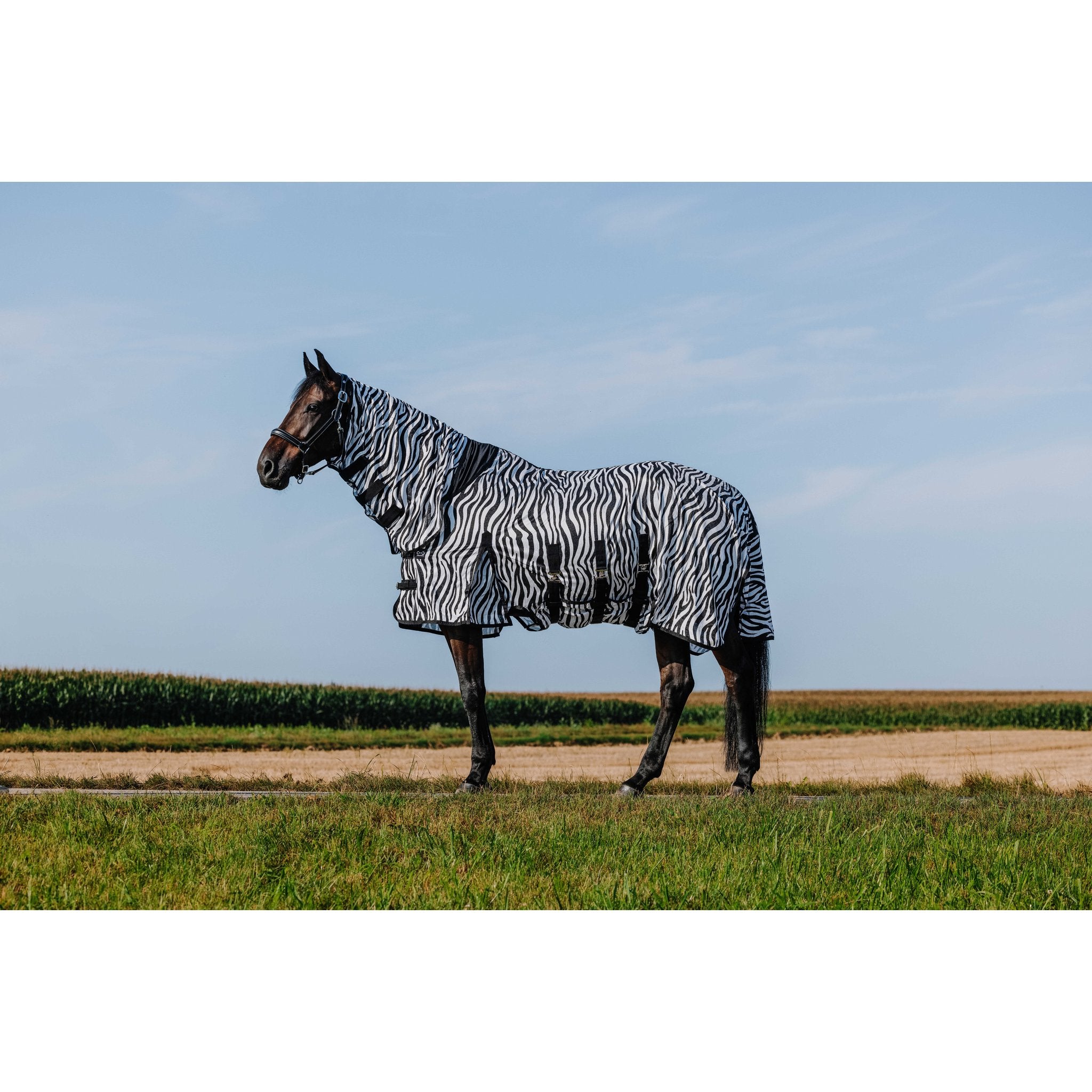 RIDING WORLD Belly Mesh Flugtäcke med hals