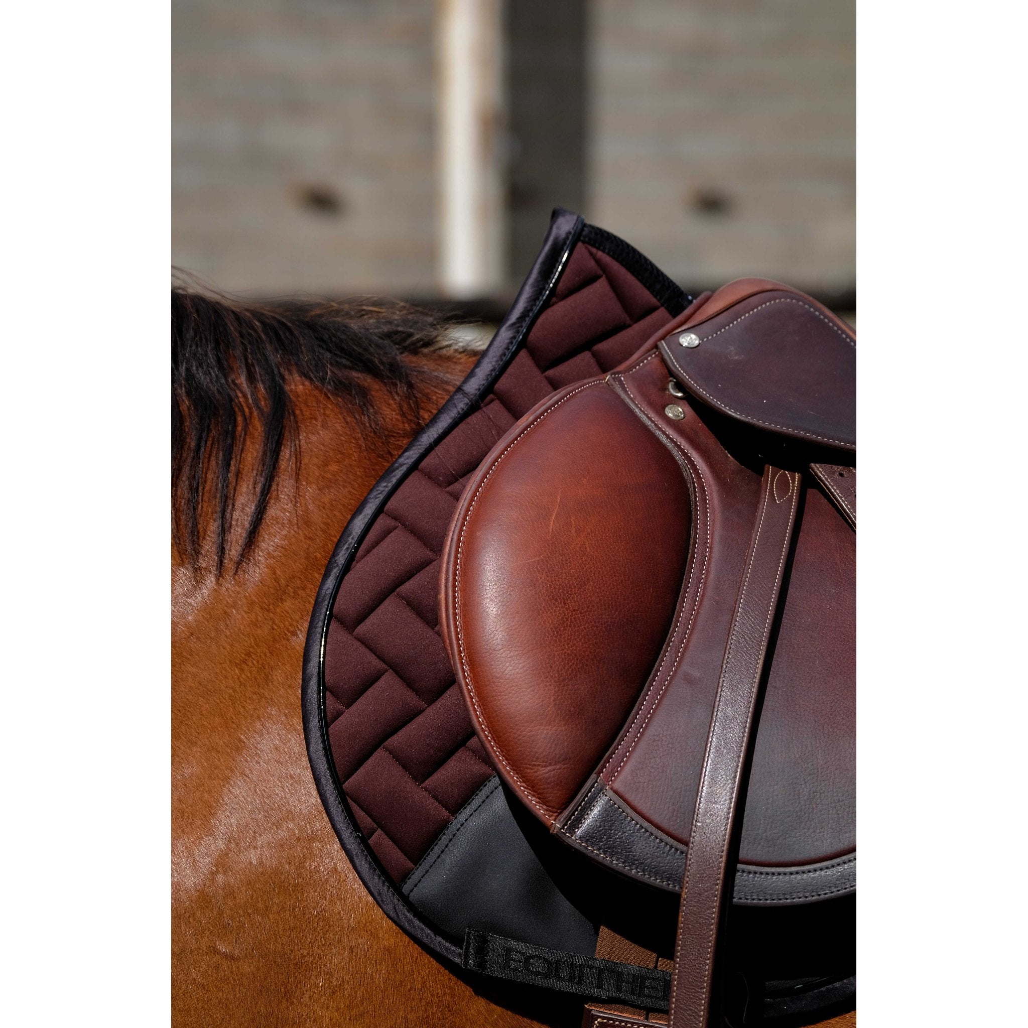 Equithème Impulsion Schabrak