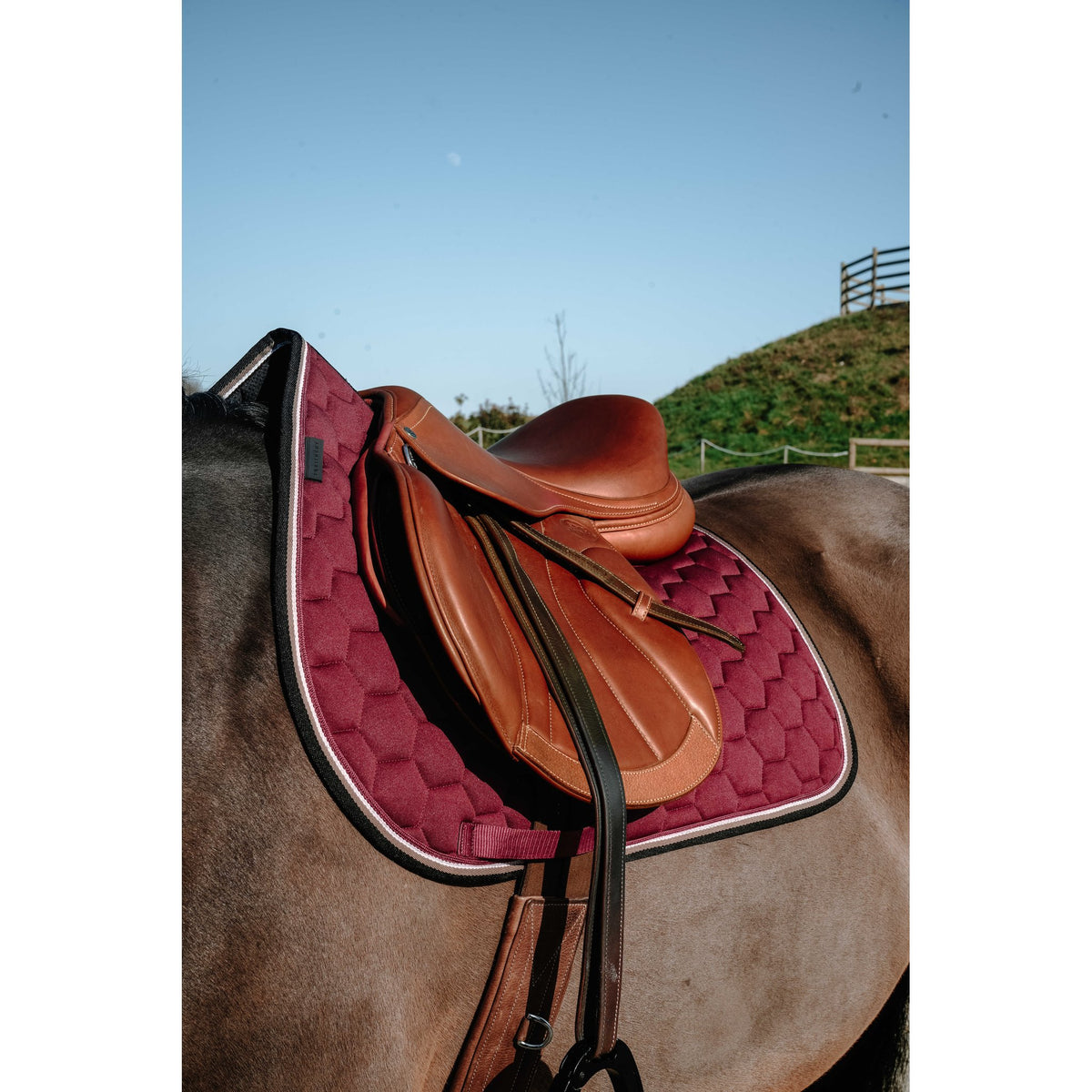 Equitheme Coco schabrak