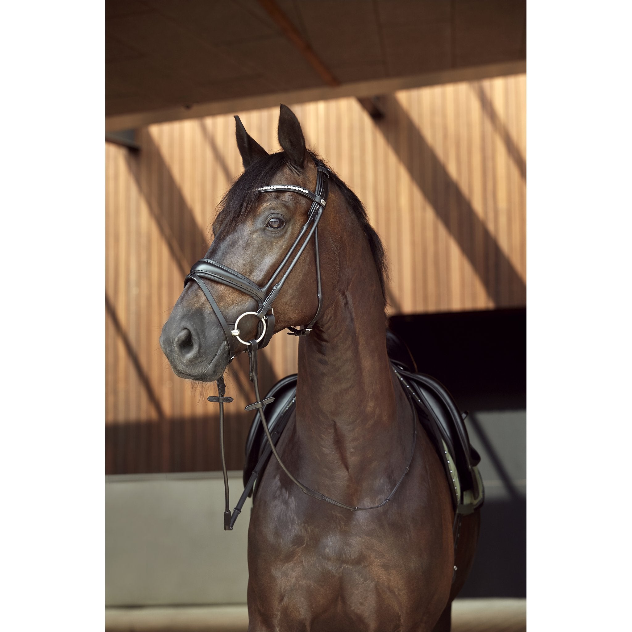 HorseGuard Ava rundsytt träns utan tyglar