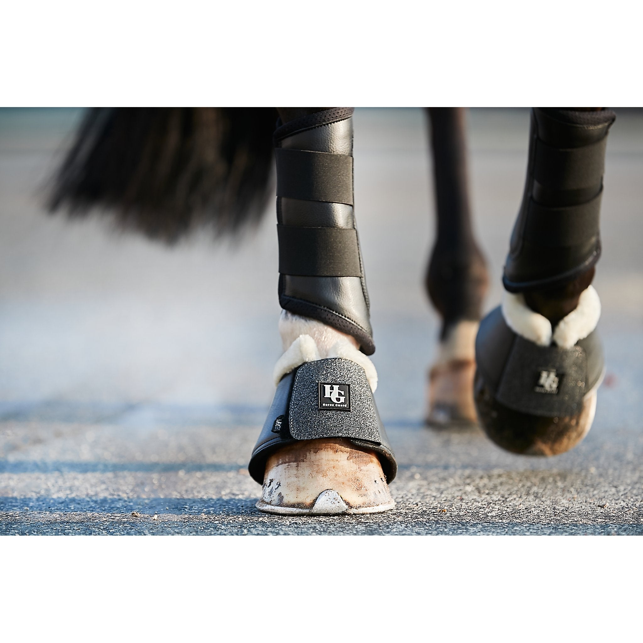 HorseGuard Lux dressyrstrykkappor