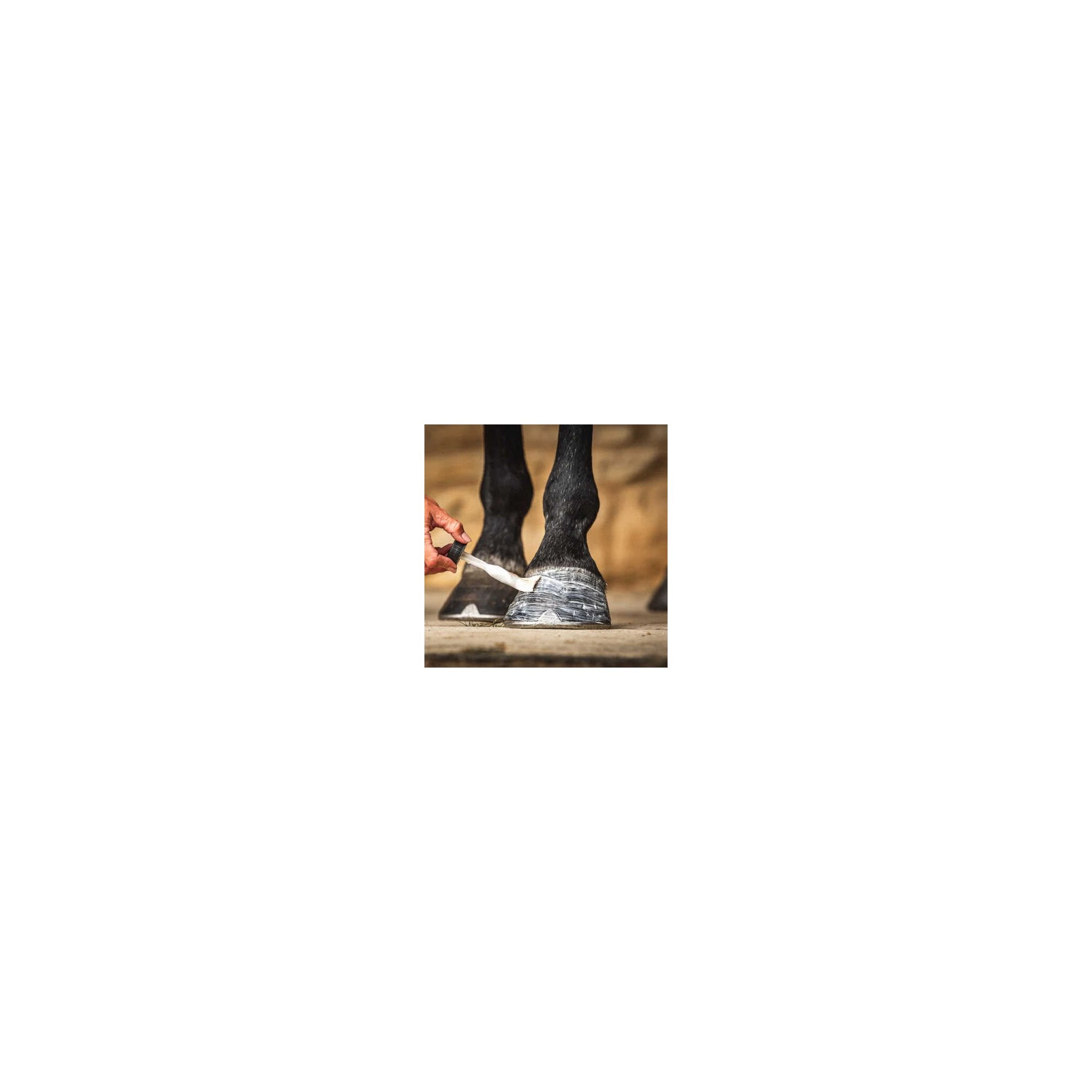 CARR & DAY & MARTIN - Daily Hoof Moisturiser Cornucrescine - Hoof Oil