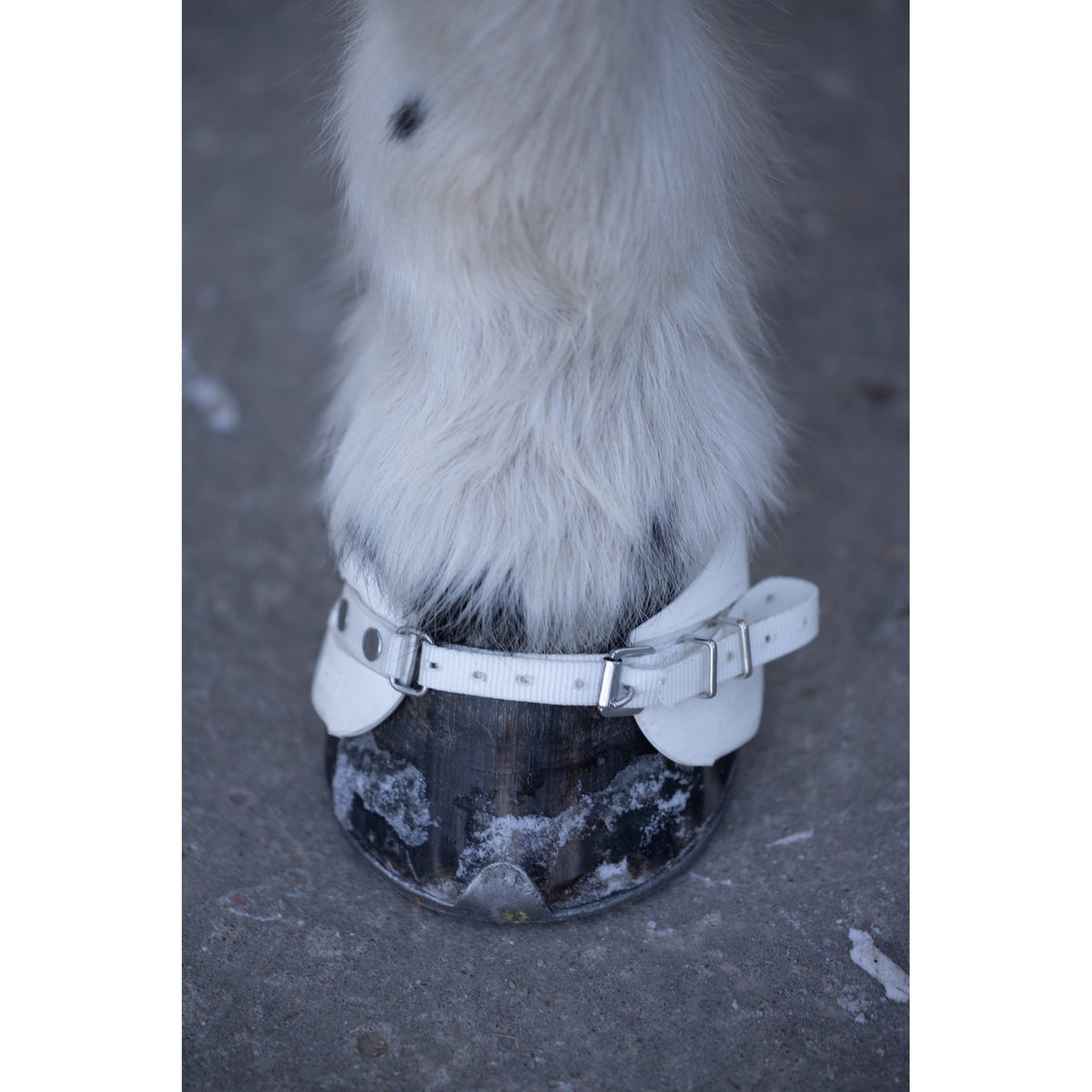 Catago Icelandic viktboots