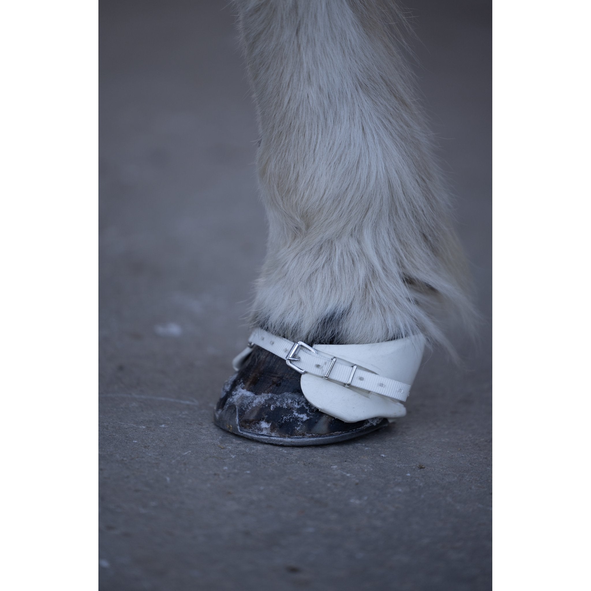 Catago Icelandic viktboots