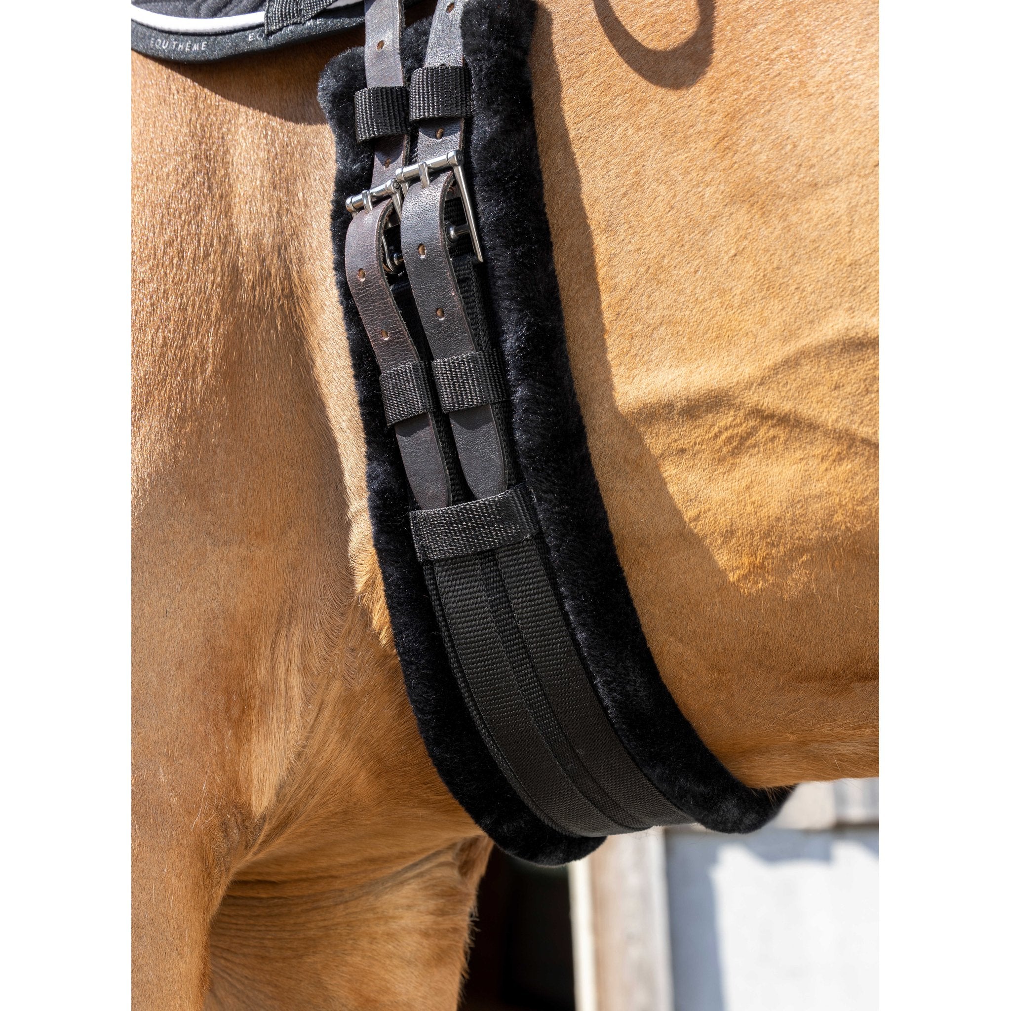 Norton Smooth Kort elastisk gjord
